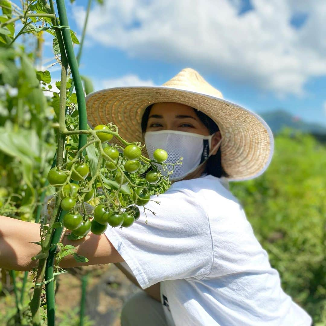 カナさんのインスタグラム写真 - (カナInstagram)「おはよ〜う💓 トマト、じゃがいも、茄子の収穫してきたよ〜🍅🥔🍆 @coffeeandfarm 👩🏻‍🌾☀️ あとは水やり、支柱立て、雑草取り、剪定もね🎶🌈 ． お花畑のお花も変わってて、鮮やかでキレイだったよ🌷🌼 癒されたぁ❤️ ． トマト甘〜くて本当においしかったの😍 今回採れた野菜はおうちに帰って素揚げにして 夏野菜のスープカレーにしていただきましたあ🍛😋✨ ． とうもろこしはまだ小さかったから 順調に育って欲しいな🌽💭💪🏻 ． #農業　#coffeeandfarm」8月6日 9時09分 - _kana627_