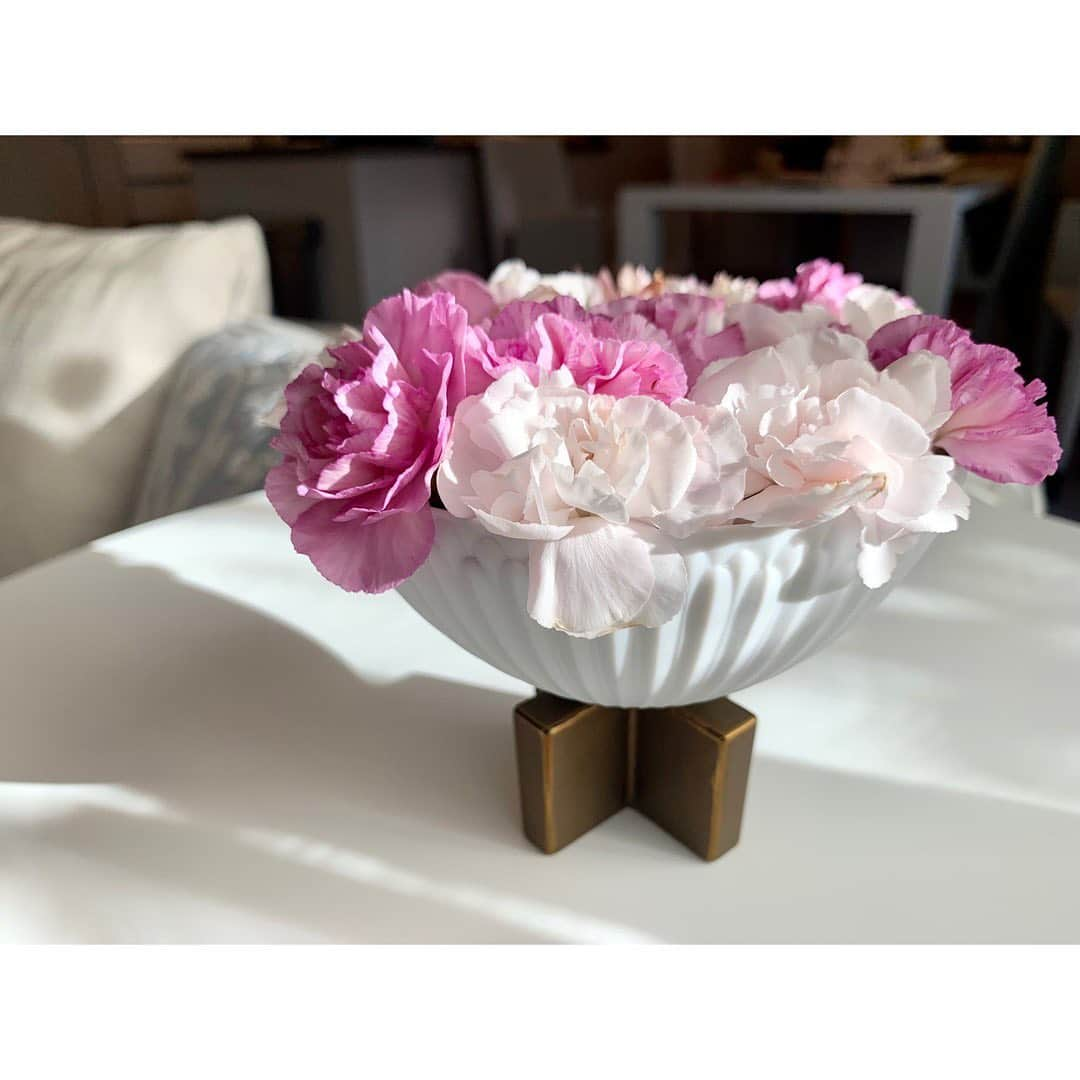 小菅晴香さんのインスタグラム写真 - (小菅晴香Instagram)「・ お花を花器に移しました💐 ふりふりが強調されてとっても可愛い😮‍💨💓 ⁡ 元UHBの皆さま、ありがとうございます🤍 ⁡ ⁡ 明日ワクチン2回目を接種予定なので、 せっせとおかず作り置き中…👩🏻‍🍳 どのくらい副反応あるかわからないので 多めに4品作りました🥢 あと一品今晩中に頑張っておきたい…🤔 ⁡ ⁡ ⁡ #nicolaibergmann #花のある暮らし #北海道文化放送 #uhb の皆さま #ありがとうございます」9月13日 16時38分 - haruka.kosuge