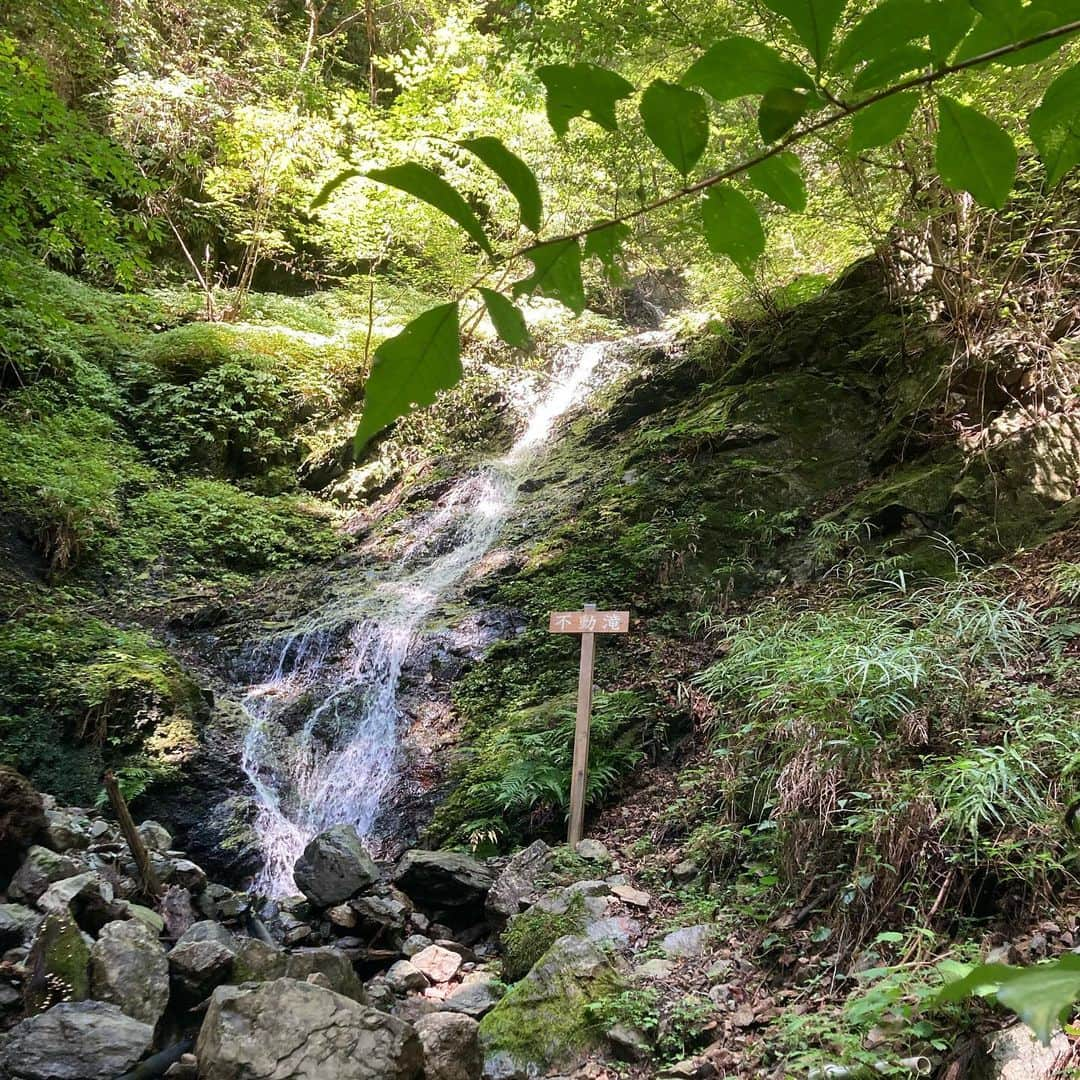 瀬南海はやさんのインスタグラム写真 - (瀬南海はやInstagram)「* 久しぶりの山登り⛰🗻 . 沢山汗かいて、美味しい空気とマイナスイオンを感じてきました！ . #山登り #武甲山 #リフレッシュ #明日は筋肉痛確定 #ポーズの手の癖 笑」9月19日 23時22分 - senami_haya