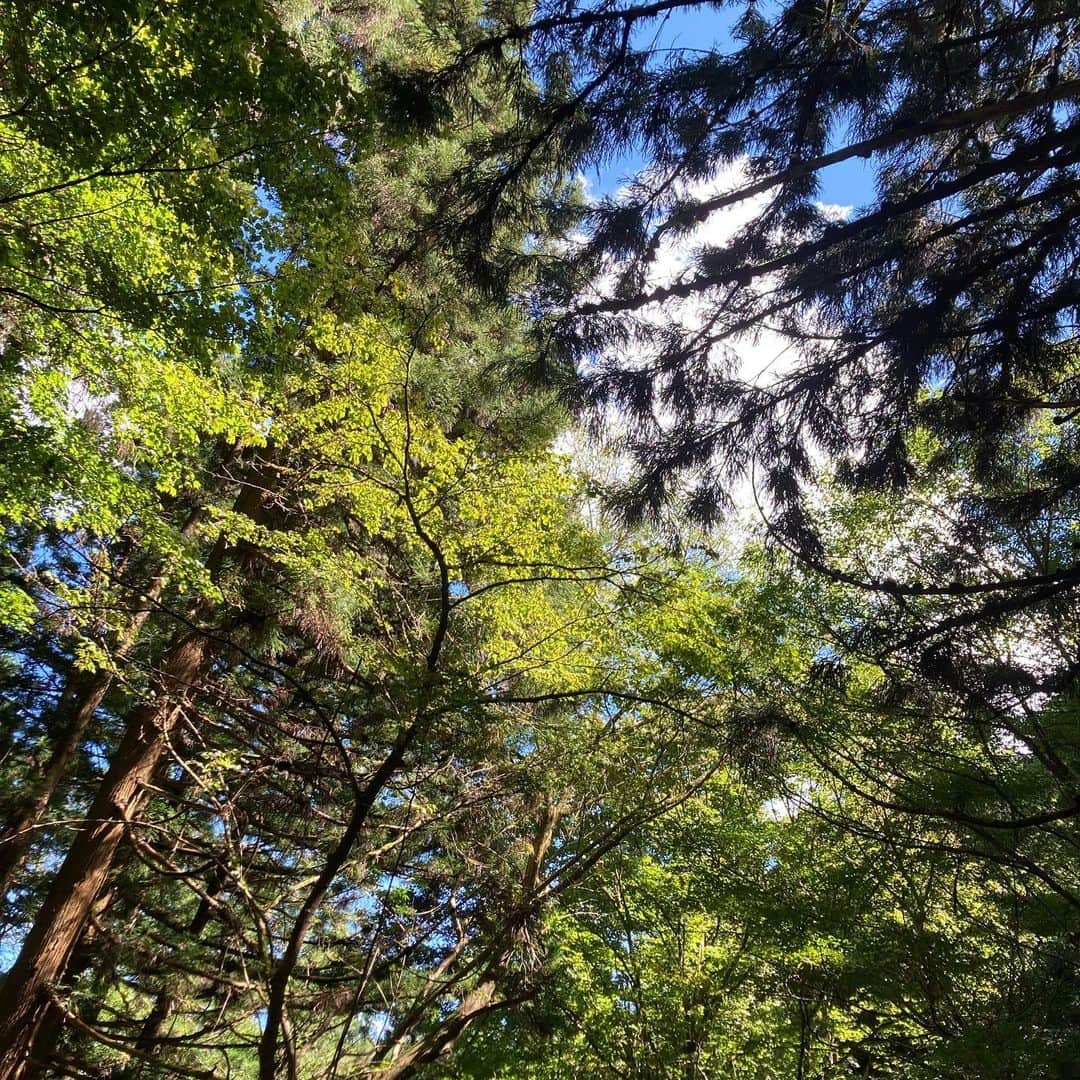 瀬南海はやさんのインスタグラム写真 - (瀬南海はやInstagram)「* 久しぶりの山登り⛰🗻 . 沢山汗かいて、美味しい空気とマイナスイオンを感じてきました！ . #山登り #武甲山 #リフレッシュ #明日は筋肉痛確定 #ポーズの手の癖 笑」9月19日 23時22分 - senami_haya