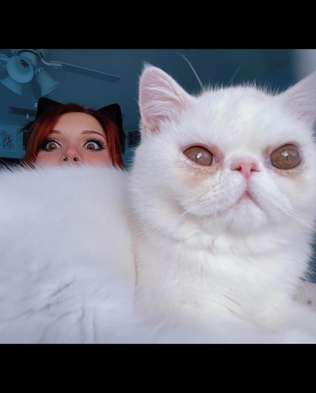 さんのインスタグラム写真 - (Instagram)「Meow meow 🐈‍⬛🤍 Are you a cat person? 🐱」10月24日 3時03分 - madi.kat