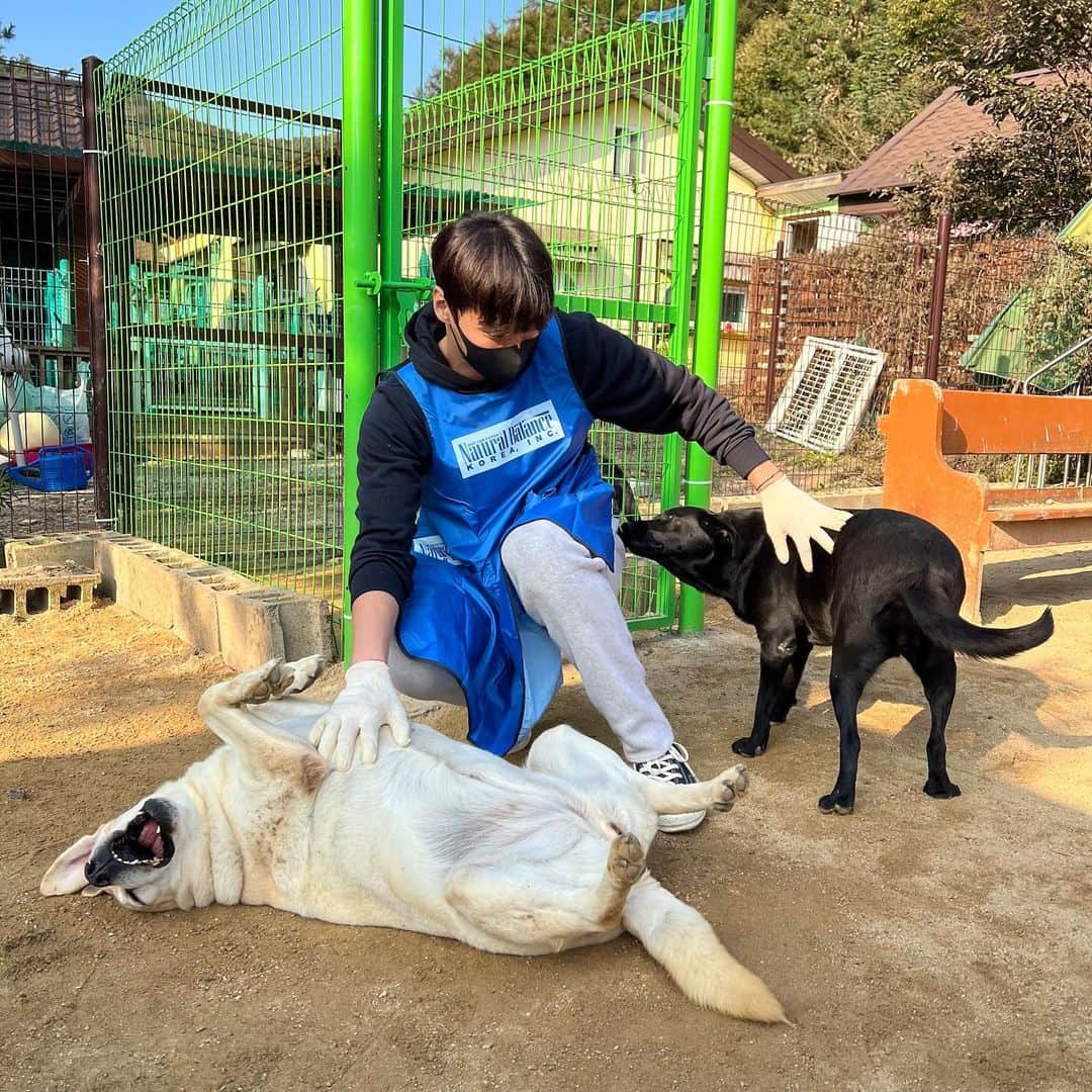 イ・テファンさんのインスタグラム写真 - (イ・テファンInstagram)「니가 좋으면 나도 좋다…😂 #사지말고입양하세요」10月24日 20時47分 - leetaehwan0221
