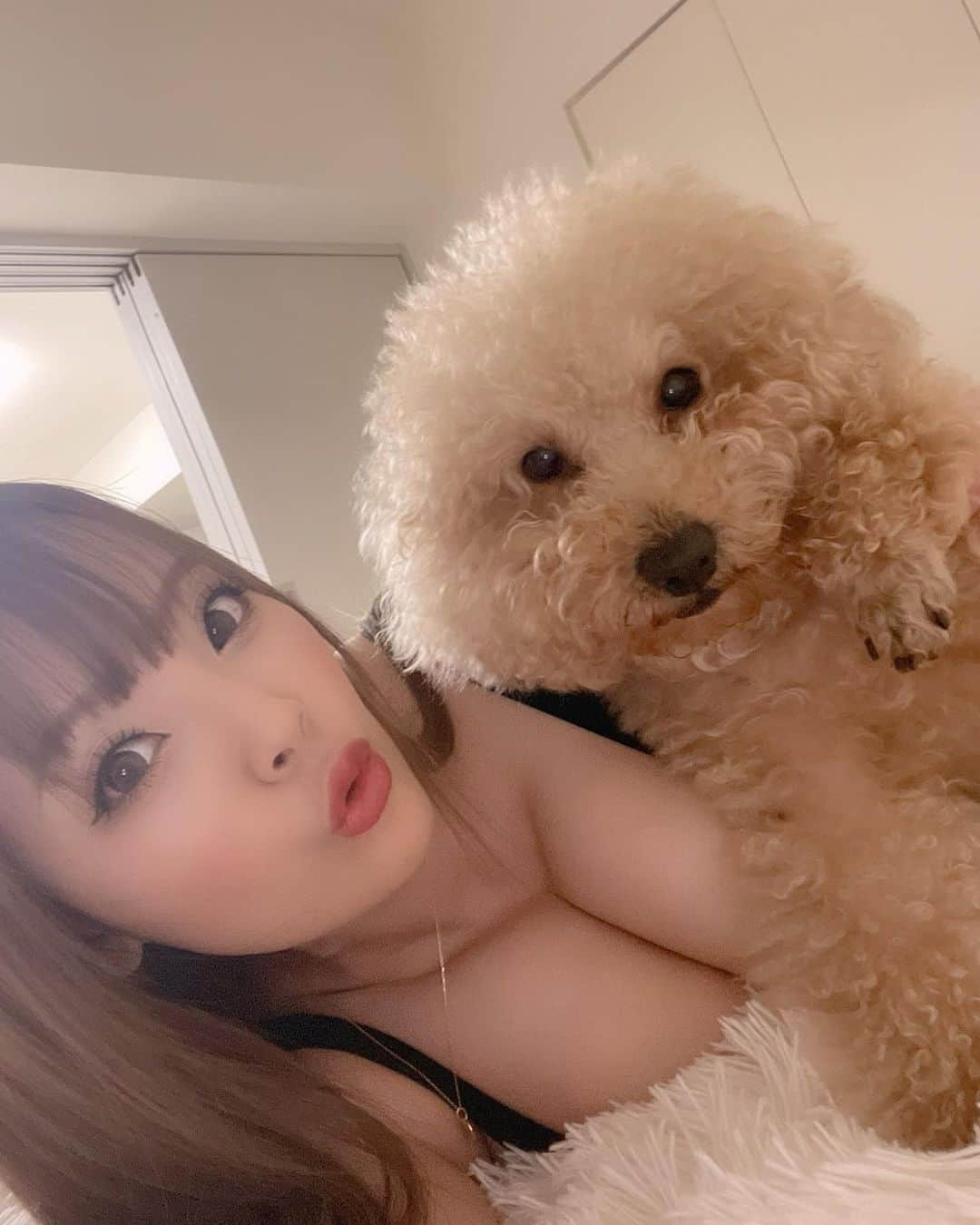 Hitomi（田中瞳）さんのインスタグラム写真 - (Hitomi（田中瞳）Instagram)「🐶👩🏻💜」10月30日 13時48分 - official_hitomitanaka