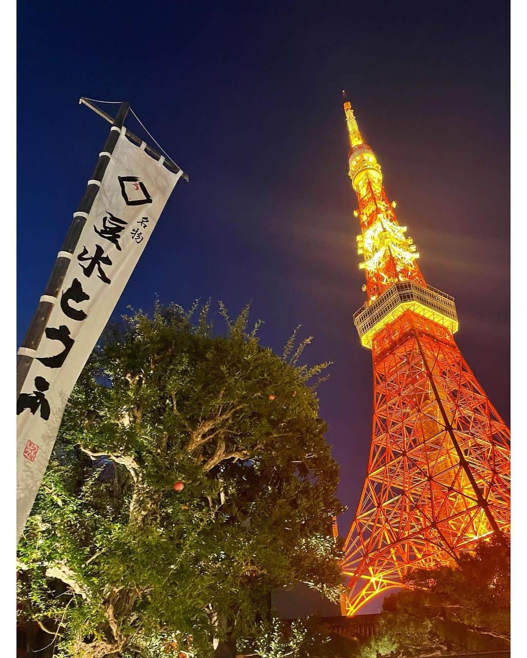 池端レイナさんのインスタグラム写真 - (池端レイナInstagram)「日本的習俗「Okuisome」 為了寶貝永遠吃得到東西、我們要做這個儀式🍴這次我們在日本蠻有名的豆腐店「Ukai」做。店裡很有歷史感、而前面看得到東京鐵塔🗼非常漂亮。推薦給大家！ お食い初めを。 長男は明治記念館さん、次男はとうふ屋うかいさんにて行いました☺️  #媽咪日常 #媽咪 #兄弟 #兄弟ママ #兄弟リンクコーデ #産後ダイエット #産後 #ママライフ  #まつ毛パーマ #まつ毛エクステ #フェイシャルエステ #做臉 #做臉護膚 #ピーリング #エステサロン #二児の母 #mommylife #mommy #お食い初め #とうふ屋うかい」11月8日 20時51分 - leinaikehata