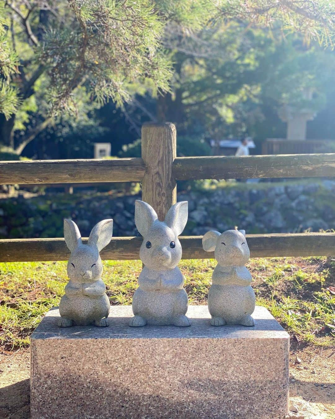 松中みなみさんのインスタグラム写真 - (松中みなみInstagram)「島根・出雲⛩✨  新そばのシーズン到来💓 お昼から地酒でくいっとはじめました🤤🍶  大人気のお蕎麦屋さん＊田中屋＊ 並んで良かった✨  出雲大社も今が良いシーズンで 〝神在月〟って神様が集ってるんだって🐰✨  すごく心地いい空気で浄化された〜🍀  #島根旅行 #出雲 #出雲大社  #出雲大社グルメ #蕎麦屋 #田中屋 #新そば #三色割子そば #日本酒 #出雲富士 #秋雲  #神在月 #神在月の出雲大社」11月14日 18時48分 - minami_matsunaka