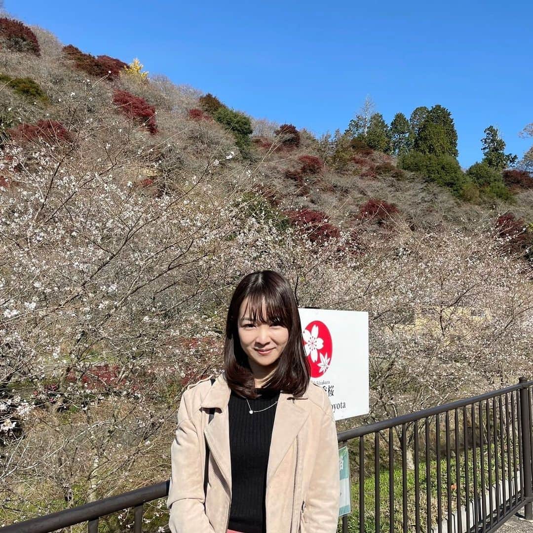 磯貝初奈さんのインスタグラム写真 - (磯貝初奈Instagram)「先日、名古屋に来ていた母と小原の四季桜を見に行ってきました🌸🍁 このときは桜が咲き始めたくらいでしたが今はもう満開なのでしょうか^^ #四季桜 #磯貝初奈」11月24日 22時49分 - hana_isogai