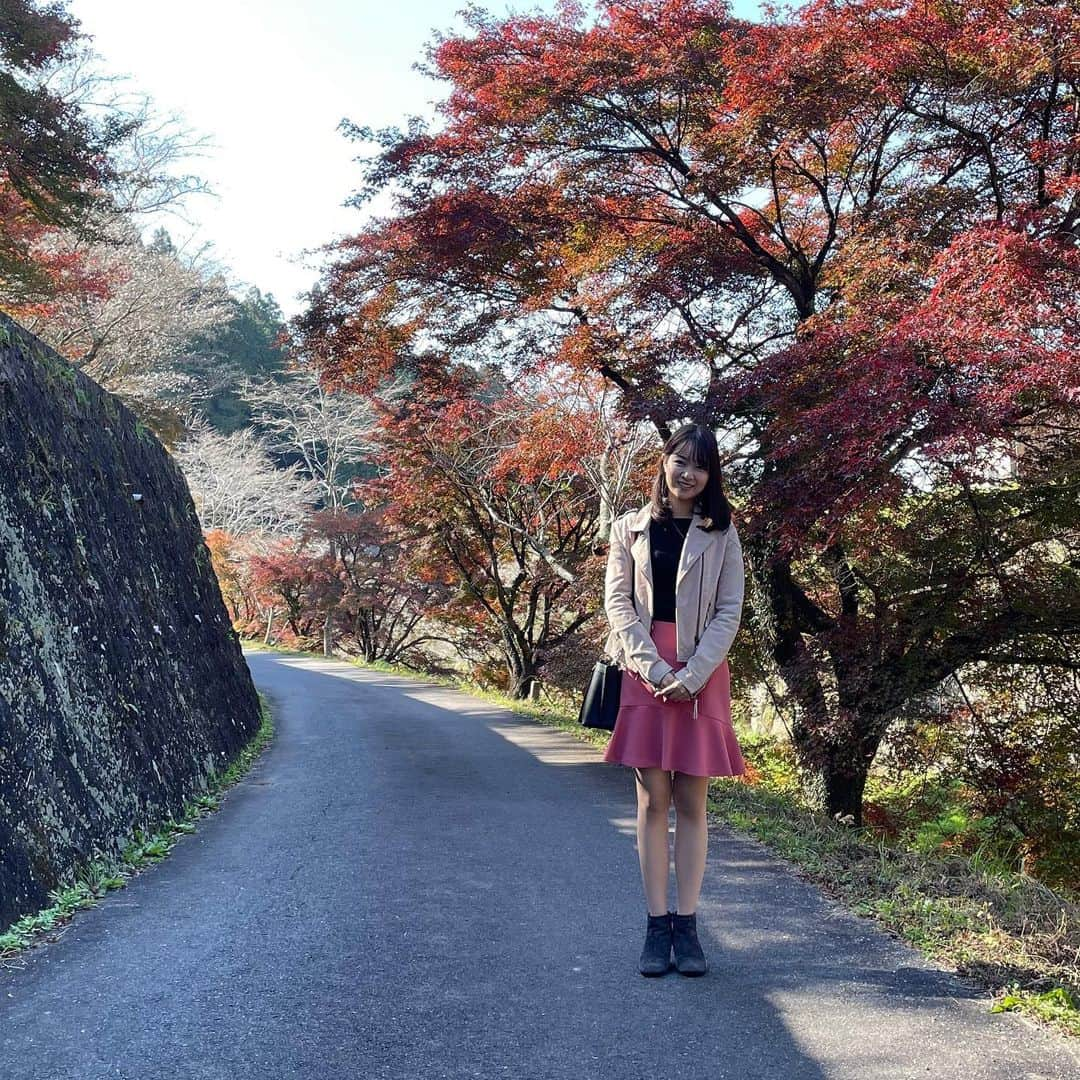 磯貝初奈さんのインスタグラム写真 - (磯貝初奈Instagram)「先日、名古屋に来ていた母と小原の四季桜を見に行ってきました🌸🍁 このときは桜が咲き始めたくらいでしたが今はもう満開なのでしょうか^^ #四季桜 #磯貝初奈」11月24日 22時49分 - hana_isogai