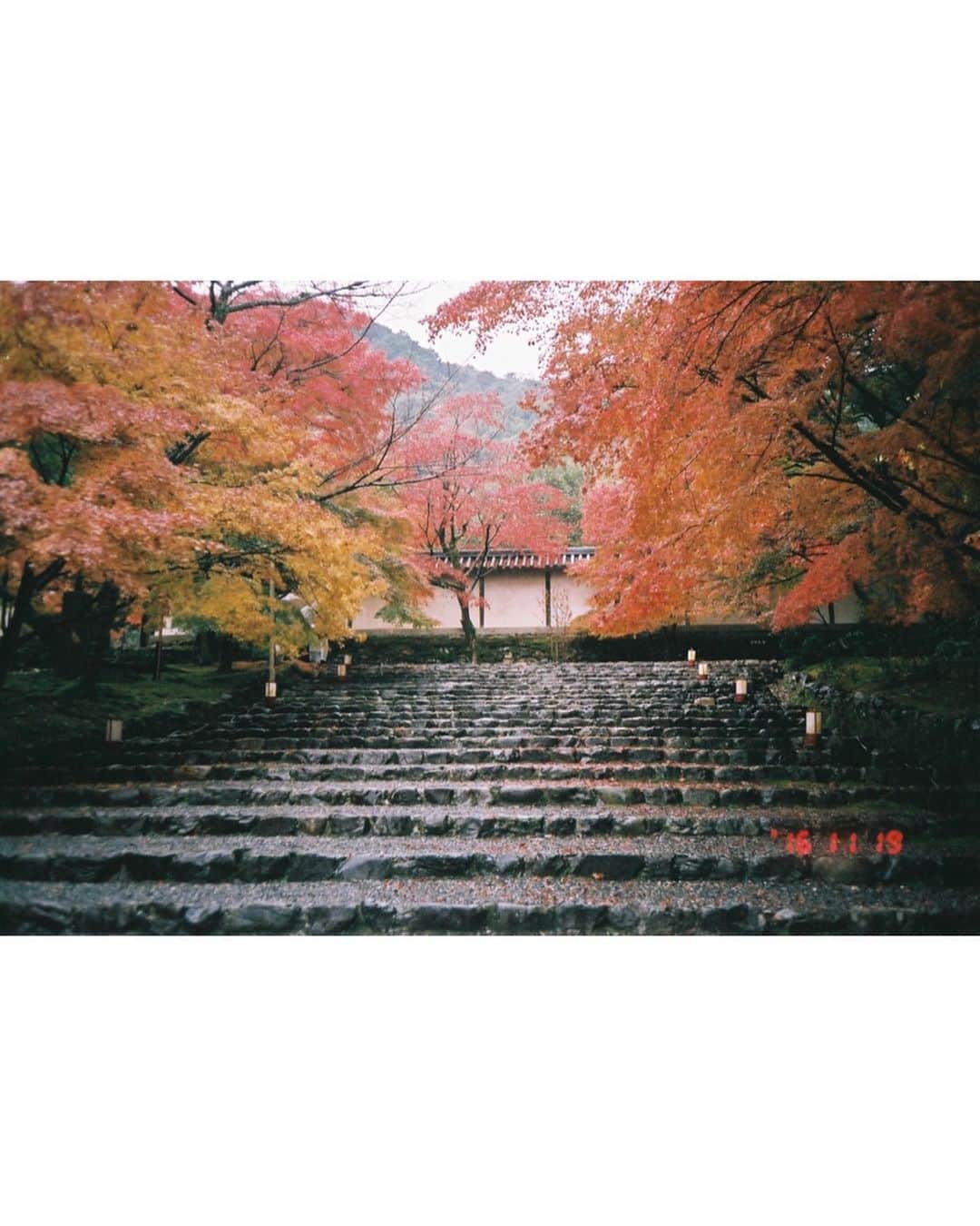 柳生みゆさんのインスタグラム写真 - (柳生みゆInstagram)「🍁🍁🍁 秋晴れの最高に気持ち良い日。  紅葉といえば、5年前（そんなに前なのか、、！）に京都で撮影したNHK『ニッポンぶらり鉄道旅』が今日のお昼12時半から再放送されるみたいです☺︎ ここ最近何度か再放送あったみたいだけど観てくれた方いるかな、、？🍁 紅葉がとっても綺麗な時期に京都のトロッコ列車に乗ったり、仁和寺に行ったり秋大満喫しているので、京都旅行に行かれる方の参考になったり、一緒に秋満喫してもらえれば☺︎☺︎ 4・5枚目の写真は当時、自分のフィルムカメラ持って行ってロケ中に撮影したもの📸 #所沢航空記念公園  #紅葉」11月25日 7時43分 - miyu_yagyu
