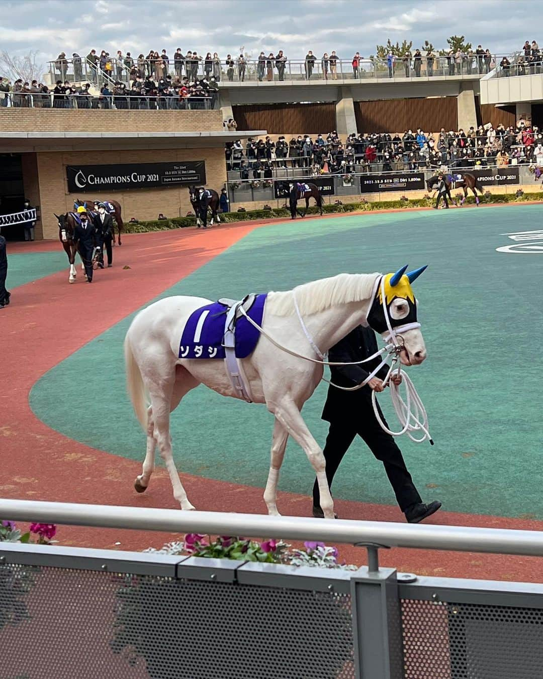 erinaさんのインスタグラム写真 - (erinaInstagram)「. . 中京競馬場〜🐴🤍 前にパークウインズできたことはあったけど レースを見にきたのは初めて⭐️ . 馬券は当たらなかったけどセイウンハーデスとソダシの応援できてよかった📣 ソダシ初めて実際見たけど真っ白で本当に可愛かった🥲🥲 . . #中京競馬場 #チャンピオンズカップ #チャンピオンズc #ソダシ」12月5日 16時26分 - erina_umajo