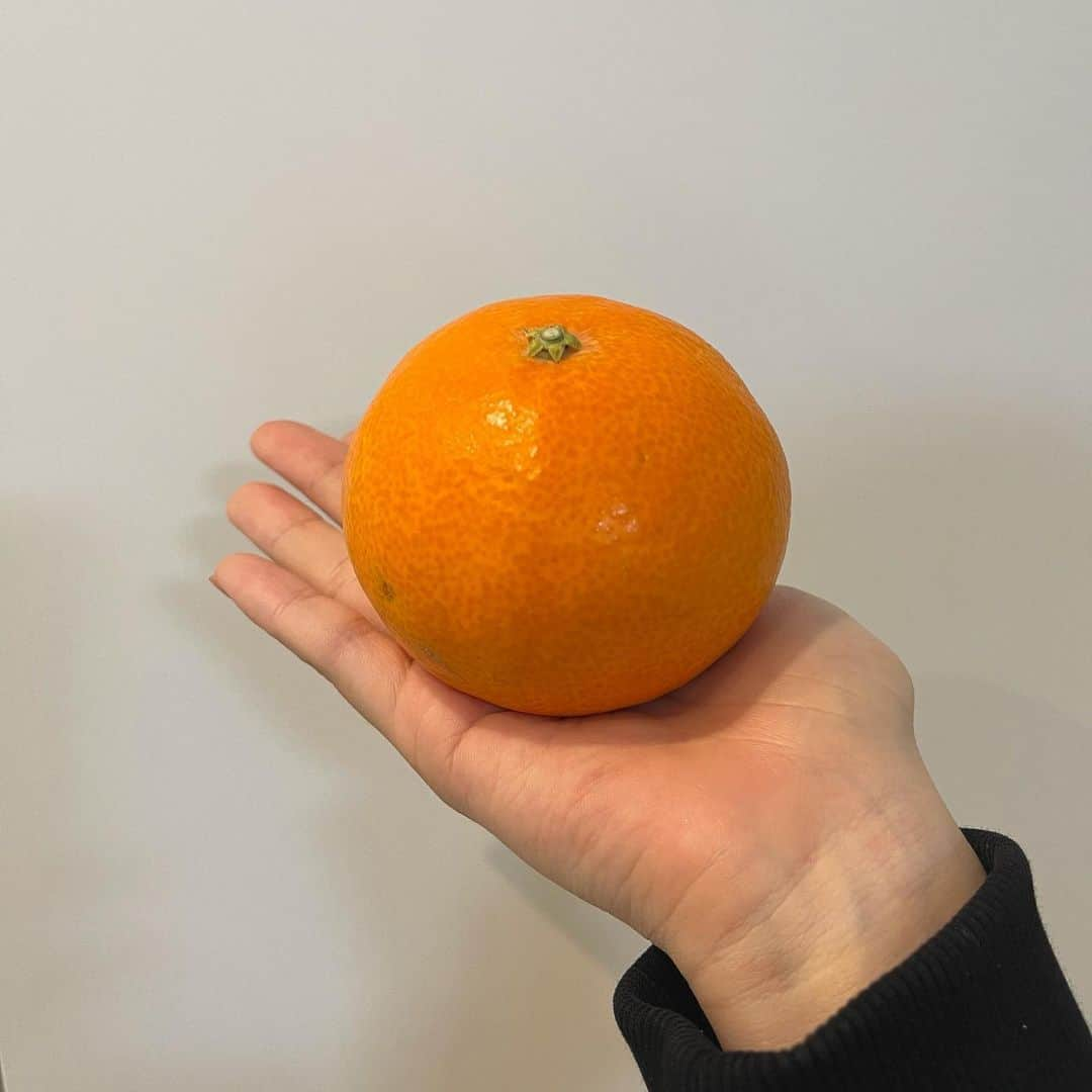 石川佳純さんのインスタグラム写真 - (石川佳純Instagram)「*** 紅まどんな🍊 とても甘いです🤗🧡」12月14日 19時09分 - kasumi.ishikawa_official