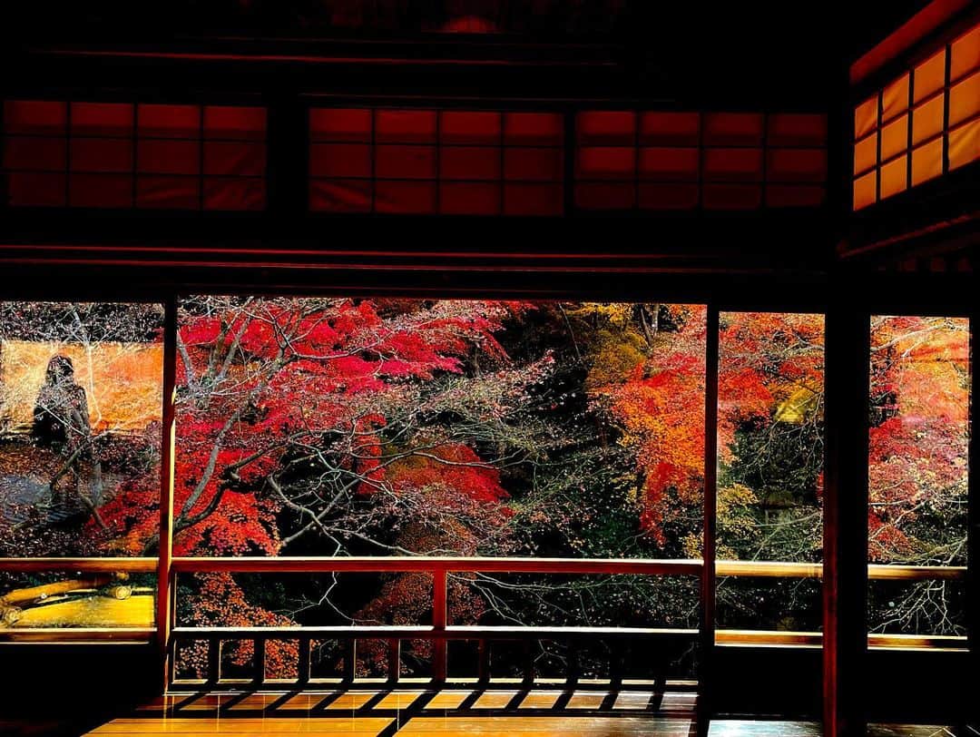 霧島れいかさんのインスタグラム写真 - (霧島れいかInstagram)「秋の終わり冬の始まりの 美しい瑠璃光院🍁🍂 皆さんお互いに譲り合って 景色の写真を撮っている光景も素敵でした。 そしてお茶セットおすすめです。  #kyoto #temple  #fallandwinter  #京都 #瑠璃光院  #茶菓子 #八瀬氷室」12月19日 18時35分 - reika_kirishima