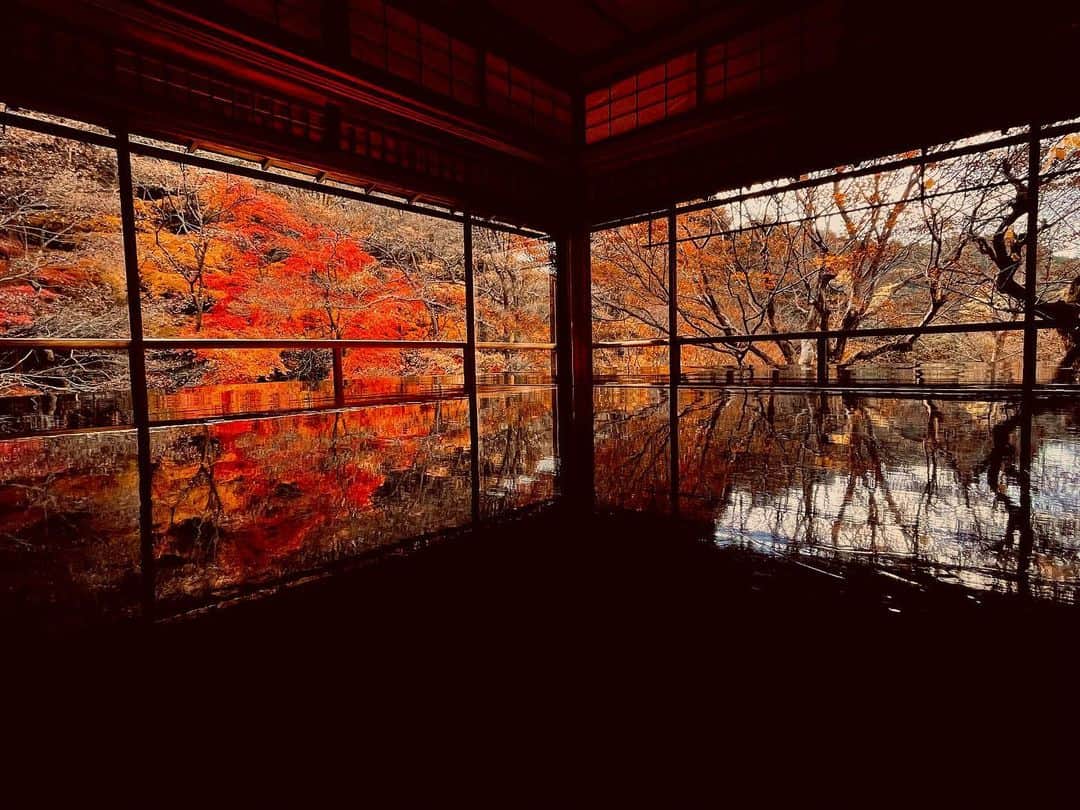 霧島れいかさんのインスタグラム写真 - (霧島れいかInstagram)「秋の終わり冬の始まりの 美しい瑠璃光院🍁🍂 皆さんお互いに譲り合って 景色の写真を撮っている光景も素敵でした。 そしてお茶セットおすすめです。  #kyoto #temple  #fallandwinter  #京都 #瑠璃光院  #茶菓子 #八瀬氷室」12月19日 18時35分 - reika_kirishima