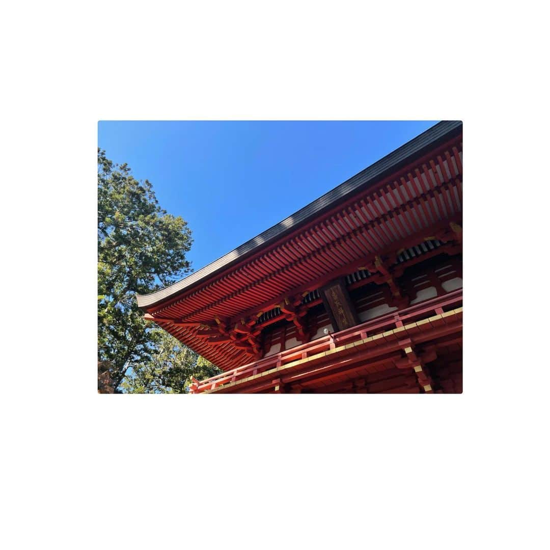 柏原明日架さんのインスタグラム写真 - (柏原明日架Instagram)「…@  御礼参り、行ってきました。  #鹿島神宮#香取神宮」12月20日 12時46分 - asuka_____official