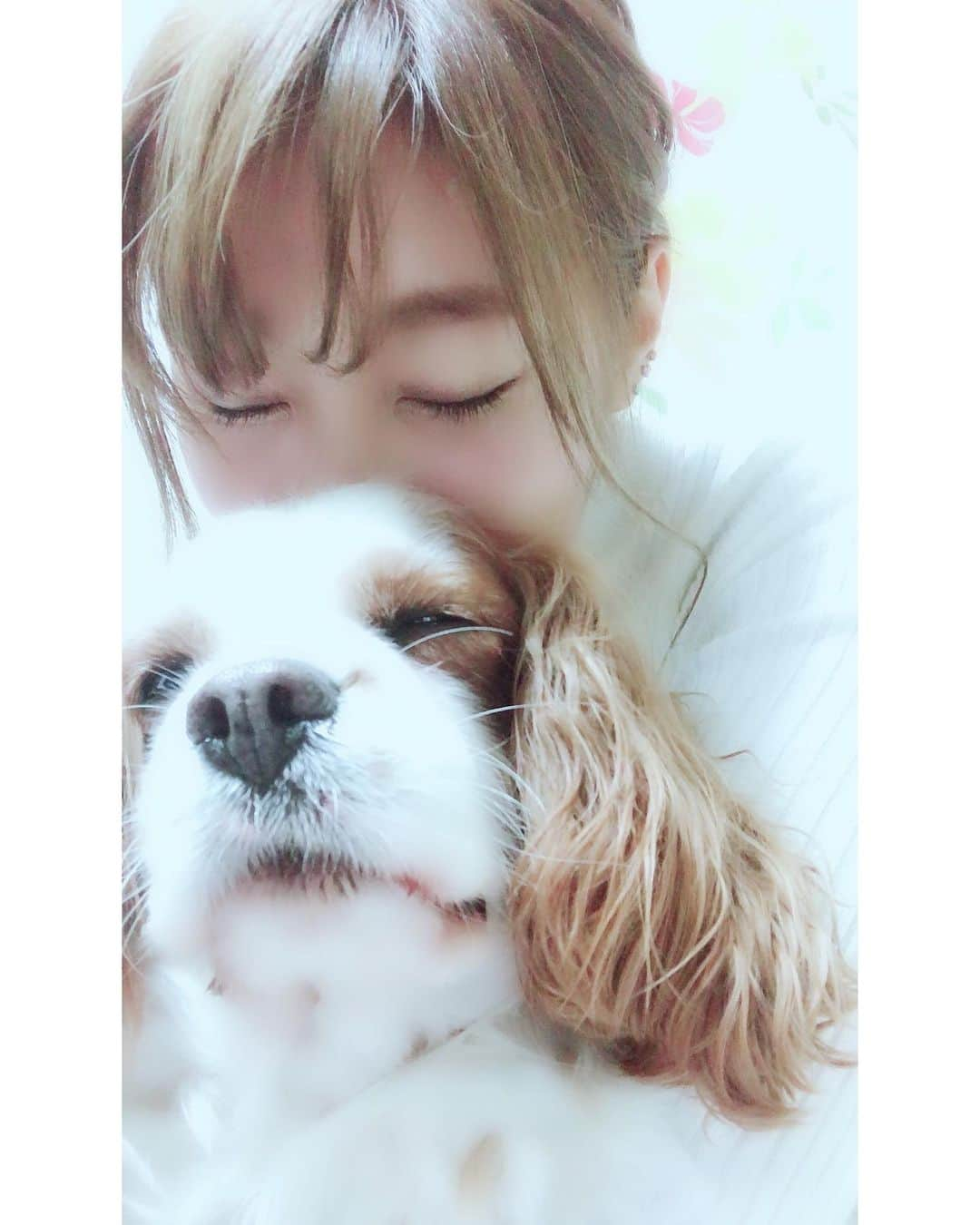 大谷芽衣さんのインスタグラム写真 - (大谷芽衣Instagram)「・ ・ ・ うにちゃん、あれから一年が経ちました。 今もそばに居てくれてるのかな？ それとも少し離れたところから 見守ってくれているのかな？ 今もまだうにちゃんとの思い出を ひとつひとつめくっていくと 涙が止まりません。 うにを想うと涙が溢れてきちゃうよ。 でもね、悲しい冷たい涙だったのが 優しくてあたたかい涙に変わったよ。 「生まれてきてくれてありがとう。 私のBabyになってくれてありがとう。 たくさんの愛と幸せをありがとう。」 悲しいだけじゃなくて ありがとうって思える様になった。 物心ついた時からずーっと わんこと生活してきて 完全に心が通じ合ってるって感じたの うにちゃんが初めてだったよ。 特別な子。私のBabyちゃん。 うにが生まれた瞬間から もっかいやり直したいなー！ 時間巻き戻らないかな？ 死後の世界がどうなってるかなんて さっぱりわからないけど また会えると信じてる。 必ずまた抱きしめにいくからね。 少しだけ、待っててね。 愛してるよ。 ・ ・」12月21日 22時19分 - otani_mei