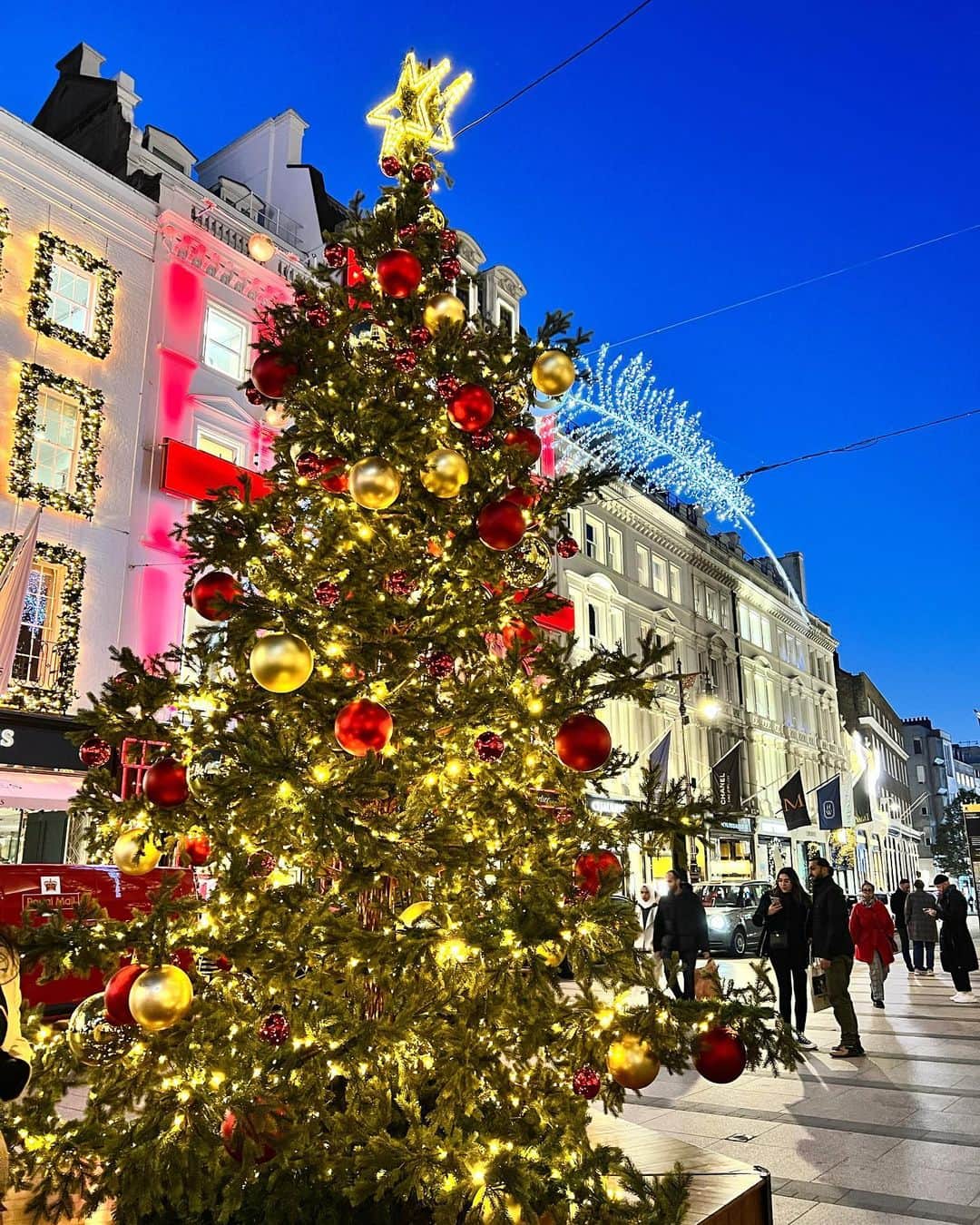 あやてん（島田彩加）さんのインスタグラム写真 - (あやてん（島田彩加）Instagram)「クリスマス終わる前に残しとこ投稿⑤  さいごイギリスとフランスで見たクリスマスっぽいものたち  クリスマスだいすき！来年も行けたらいいなあ」12月24日 19時40分 - ayatenchann