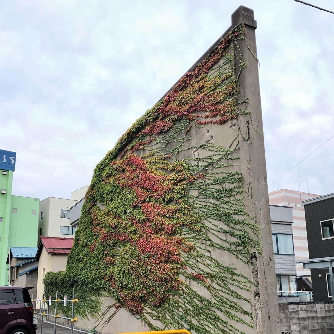 能町みね子さんのインスタグラム写真 - (能町みね子Instagram)「青森の壁🍁何の跡なのか実態不明だけどきれい🍁しばらくあとには真っ赤になっていた🍁🍁🍁」12月26日 14時42分 - nmcmnc