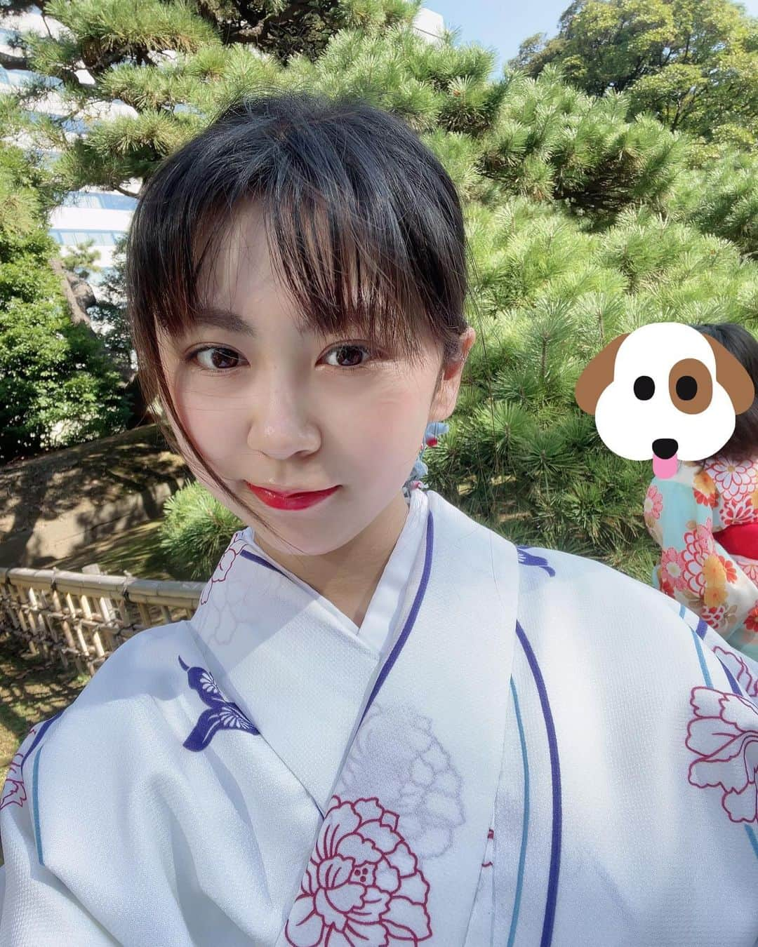 須田理夏子さんのインスタグラム写真 - (須田理夏子Instagram)「👘💕  2021年も今週で終わりだね🐶  先月、浅草で着物レンタルしたんだ〜💕  本当は、今流行りのモダン系の着物着てみたかったんだけど、この着物も素敵で可愛い♡  今度はいつ着物着れるかな🎶   #fashion  #me #photo #photography #followme  #浅草  #着物  #着物女子 #着物レンタル  #VASARA  #この日は  #確か  #快晴  #過去pic  #19歳  #ラストティーン  #girl」12月27日 21時27分 - sudarikako