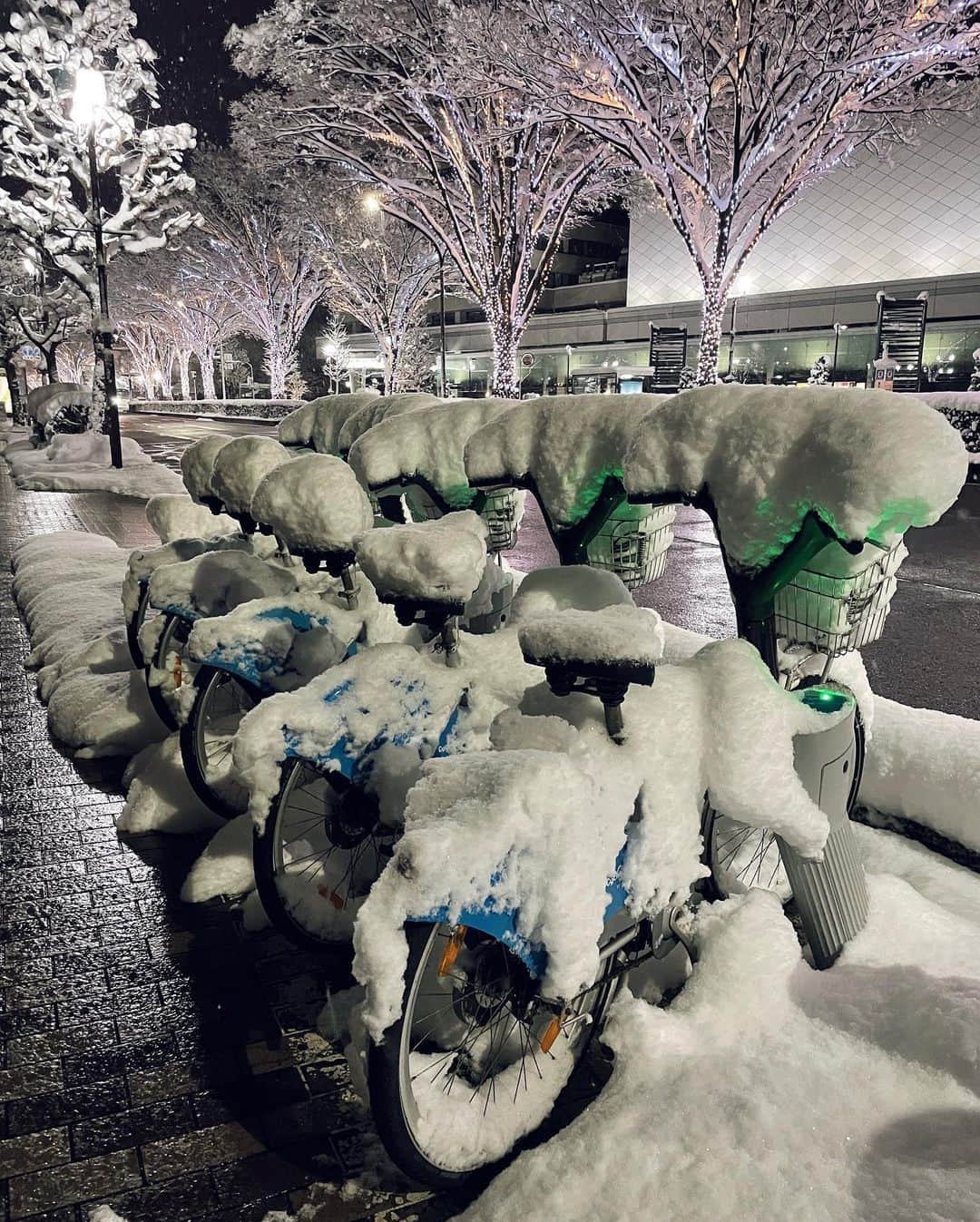 かんだまさんのインスタグラム写真 - (かんだまInstagram)「☃️❄️  #富山 #環水公園 #世界一のスターバックスと言われてる」12月28日 18時55分 - koike_weekend
