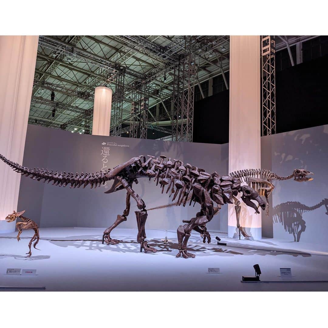 種田梨沙さんのインスタグラム写真 - (種田梨沙Instagram)「🦖  夏のお楽しみといえば恐竜展！  今年は見に行けて良かった！ グッズも爆買いしてしまいました笑  恐竜と骨格標本は永遠のロマンである…  来年もどんな恐竜展に出会えるのか 今から楽しみです✨  #恐竜科学博 #最終日に行きました #ギリギリセーフ」12月31日 0時00分 - tane_da_dayo