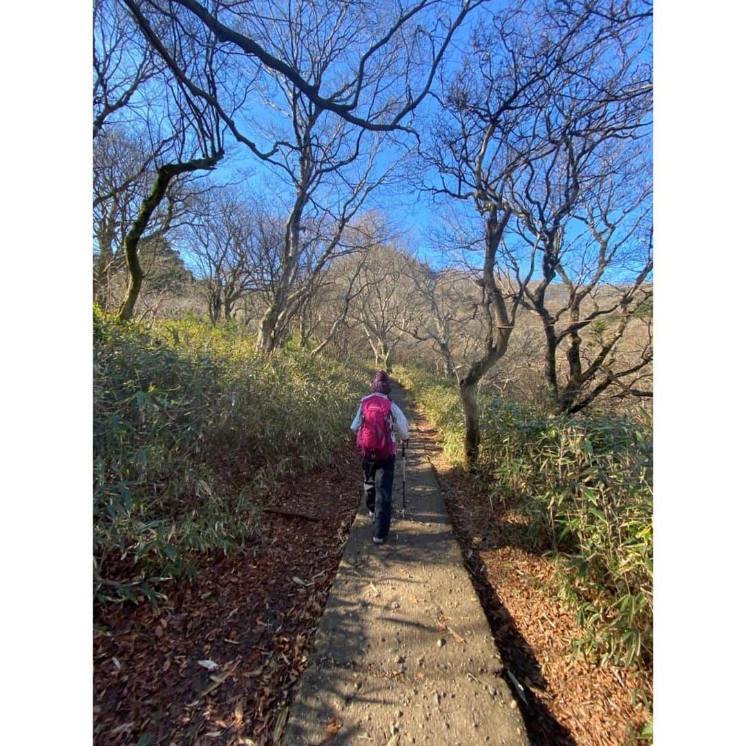 大島優子さんのインスタグラム写真 - (大島優子Instagram)「明けましておめでとうございます👼🏻🌅✨ 2021年も精一杯生きました  新しい年、とにかく光を目指して ただひたすらに着実に 歩んでいけたらと思います  2022年も一緒にたくさんたくさん笑いましょう🤪  本年もみなみなさま よろしくお願いいたします🎀  #今年富士山登れますように🗻」1月1日 14時22分 - yuk00shima