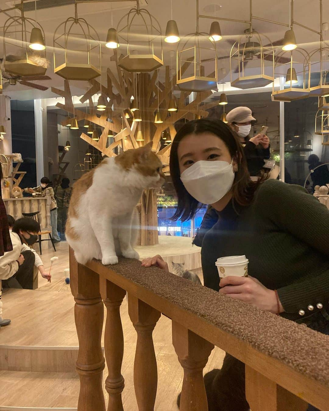 荒木悠衣さんのインスタグラム写真 - (荒木悠衣Instagram)「- ネコ年はいつになったら来るのかね🐈 今年もよろしくお願いします✨  @mocha.harajyuku  猫ちゃんたち可愛かった〜❤︎ 年末年始もお仕事してくれてありがとうねぇ ここは ドリンク飲み放題、wifiあり、漫画読み放題で お家みたいにゆったり過ごせます❤︎ #猫カフェmocha #猫カフェ #PR #原宿猫カフェ #原宿カフェ  [場所] #mocha #猫カフェ #猫カフェmocha  #原宿カフェ #動物  [商品] #ドリンク #リアルゴールド  #オレンジジュース  #カフェラテ  [その他] #甘い #スイーツ #カフェ巡り #チョコレート屋さん巡り #東京 #東京カフェ #表参道カフェ #渋谷カフェ #銀座カフェ #原宿カフェ #横浜カフェ #大阪カフェ #神戸カフェ #miette #ミエット #カフェ部 #カフェ好きな人と繋がりたい」1月1日 23時42分 - ara_kicti429