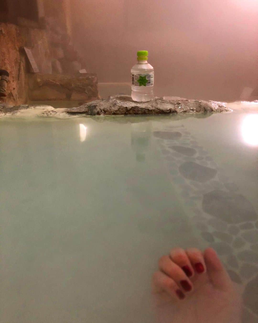 広田レオナさんのインスタグラム写真 - (広田レオナInstagram)「あけましておめでとうございます🎍 今年の御節は去年に引き続き簡素でした… 去年は色々ありましたがあっという間に過ぎた一年でしたね… 癌の手術とコロナがあったからですかね😂 去年の春、吉野の桜を見に行けたのはラッキーでした…この先、もう二度と見れなかったかもしれません 大好きな温泉もたくさん行けました…もちろん今年もお世話になります💕 去年、心が潰れなかったのはワンコの存在も大きいです😅 この子達を…ニャンコもワンコも…最期まで一緒にいたいと強く思います… 今年の目標、人にもっと優しく…自分にも優しく…身体を労わりながら無理はせずとも自分がやりたい事をやっていきます✨  本年も宜しくお願い致します レオナボナムカーターより」1月2日 22時27分 - leonahirota