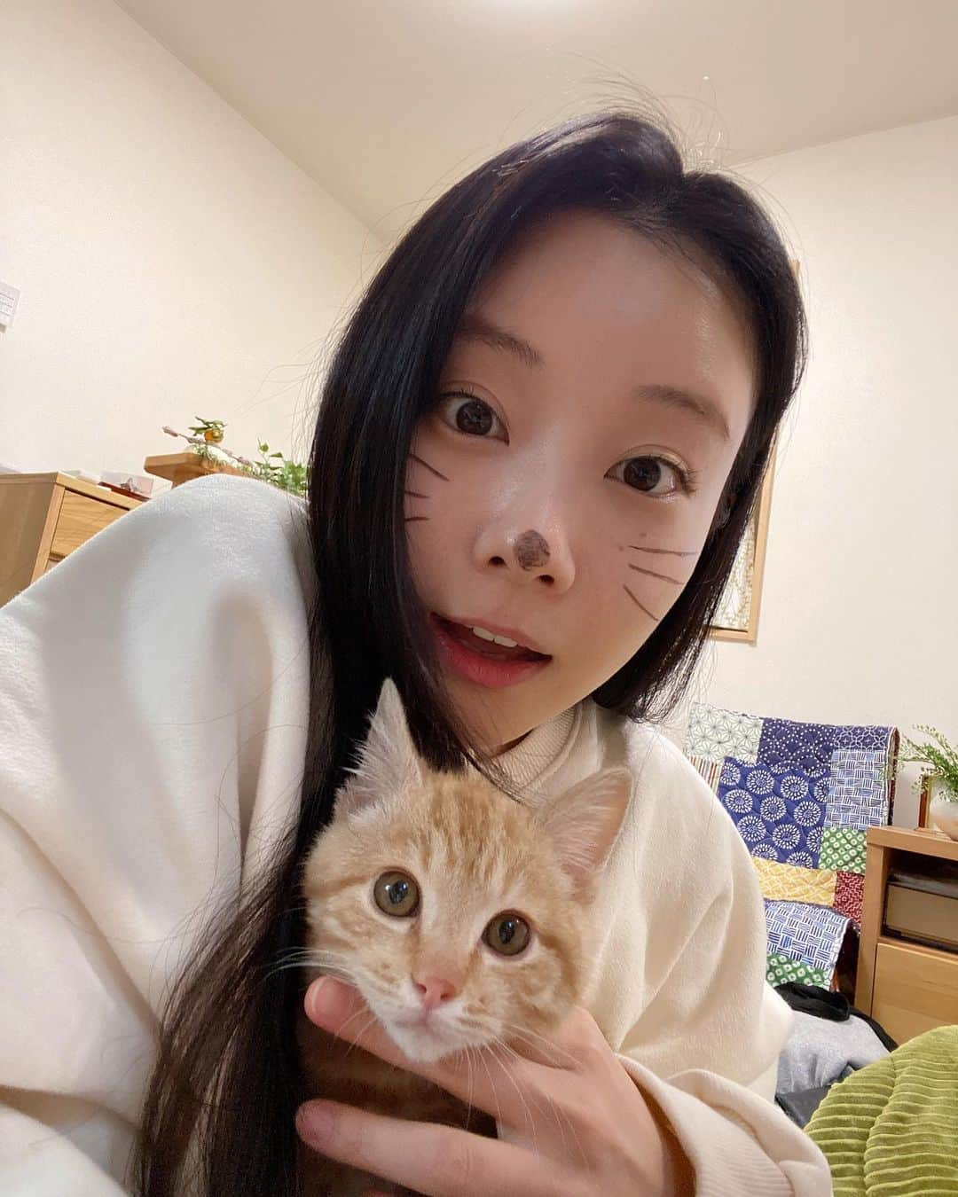 重盛さと美さんのインスタグラム写真 - (重盛さと美Instagram)「あけましておめでとうございます！😺🎍🌅✨✨  今年のお正月はおばぁちゃん家で、 お餅とみかんを食べまくり🏠🍊 ご飯とお肉を食べに食べ🍙 山に登り⛰☀️ 嘘みたいにコケて転がり大きな青タンができましたっ！☺️😅💛🩹🎉✨  おばぁちゃんのお誕生日も祝えて🍰 ママが最近保護した新しい家族にも会え🐈♡ とても、 のんびりと平和なお正月となりましたっ🌅☀️✨✨  今年も、 マイペースにInstagram更新しますので、 どうぞ宜しくお願いいたします🐯🌈✨  #2022 #おばぁちゃんちでお正月 #朝昼晩食べまくり #おやつに焼肉屋さんに行く #確実に体が重い #確実におばぁちゃんのケーキが小さい #ダイソンのプレゼントで挽回 #お正月っぽい写メがない #慌てて寅メイクする #なぜかママもする（笑） #にゃん✌️😽✌️」1月4日 18時14分 - satomi_shigemori