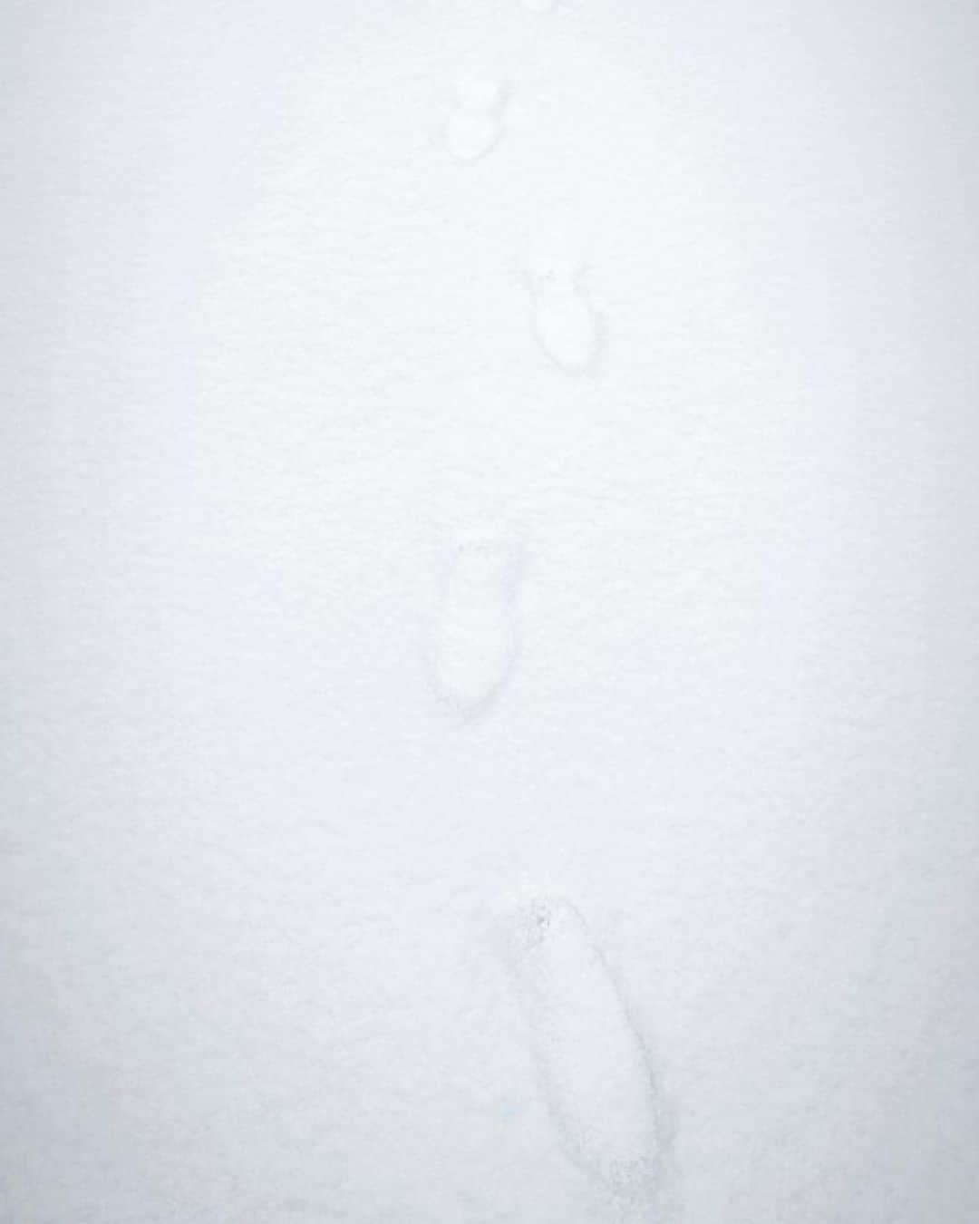 Hitomiさんのインスタグラム写真 - (HitomiInstagram)「❤︎  みなさま風邪など引きませぬように🥺  #新潟　#niigata #雪」1月6日 16時38分 - hitomi_01270