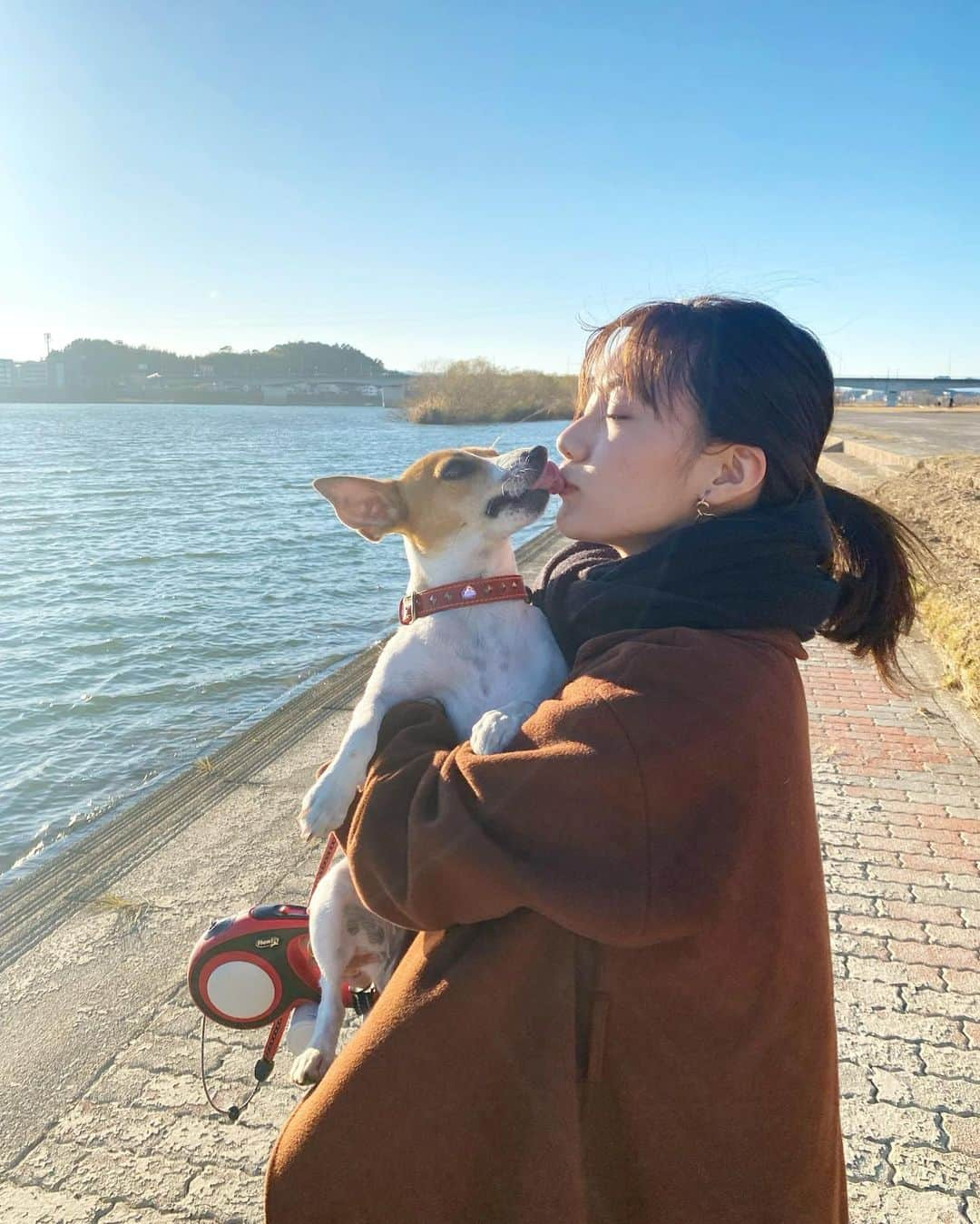 矢野優花さんのインスタグラム写真 - (矢野優花Instagram)「本日1月6日に24歳になりました〜👏  久々に実家で誕生日を迎えました。  実は実家で飼っているわんちゃん、はなちゃんは私と同じ1月6日が誕生日で、私の名前から花をとって、名付けられました🐶🌼  ということで本日ははなちゃんと一緒にお祝いです💓  23歳の1年も、先が見えない状況が続く中、たくさんの人に支えられて過ごしてきました。  素敵な出逢いもあって、変わらず大事にしていきたい縁もあって、ありがたいことに本当に人に恵まれているなと感じます。  そして何より応援してくだっている皆さま、本当にありがとうございます。  いつも暖かい言葉、ちゃんと届いています。  今年は"挑戦"の1年にしたいです。  僅かな可能性でも拾い上げて、自分の出来ることを精一杯ぶつけていけたらと思います。  そしてそれが皆さまに届くよう、拙いなりに精進して参ります。  今年もよろしくお願いします！  #お誕生日 #矢野優花」1月6日 18時43分 - yanoyuuka_official