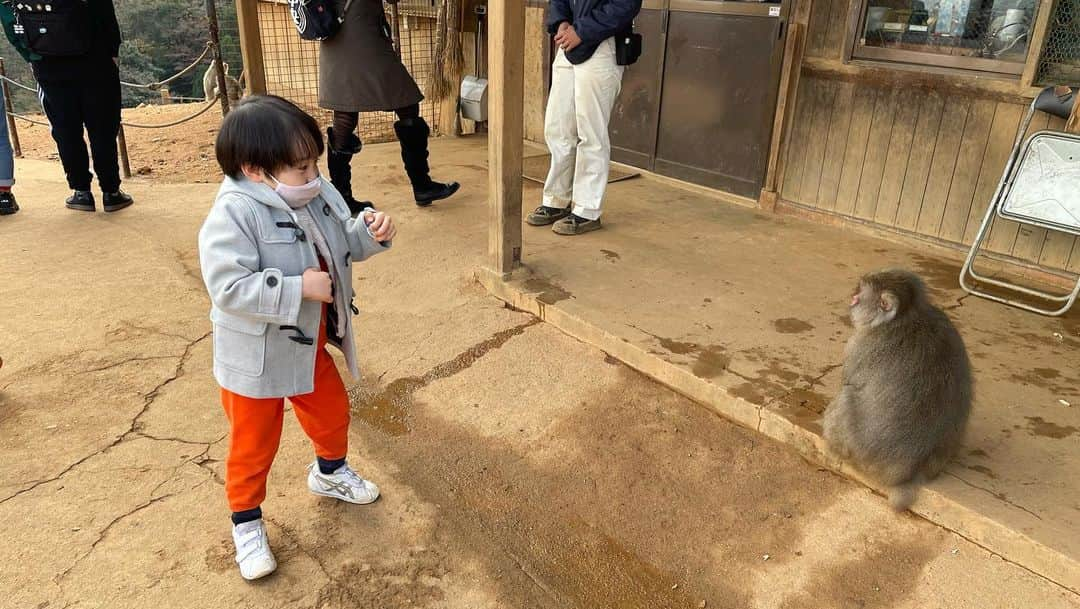 石塚錬さんのインスタグラム写真 - (石塚錬Instagram)「👦💬「小さいお猿さん、いっぱい食べてね🐵🐒❤️」 #1.オトナ猿を警戒しながらコドモ猿さんにエサをあげるレン🐒 #2.わんこそばのように次々とあげるレン🍜 #3-6.少しずつおサルに近づくレン🐒 #映画999 の出演にコメントくれた方ありがとうございました🥳🌟 . 👩💬「Little monkey, eat a lot🐵🐒❤️」 #1.Ren feeding a child monkey while being wary of an adult monkey🐒 #2.Ren feeding one after another🍜➿🔜 #3-6. Ren approaching the monkey little by little🐒〰️ #Thank you to those who commented on the appearance of movie 99.9. 🥳🌟 . #猿 #えさ #餌 #エサ #りんご #落花生 #monkey #feed #apple #nuts #원숭이　#에사 #ลิง #ให้อาหาร #monyet #memberimakan #猴 #喂养 #石塚錬 #成長日記 #ishizukaren #renishizuka #이시즈카렌」1月10日 19時00分 - ishizuka_ren