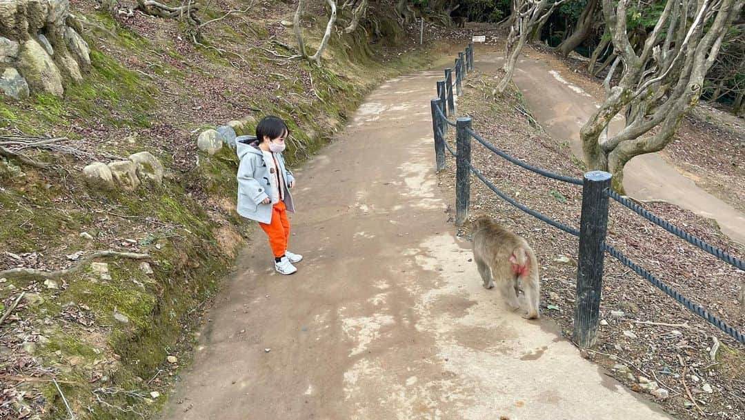 石塚錬さんのインスタグラム写真 - (石塚錬Instagram)「👦💬「小さいお猿さん、いっぱい食べてね🐵🐒❤️」 #1.オトナ猿を警戒しながらコドモ猿さんにエサをあげるレン🐒 #2.わんこそばのように次々とあげるレン🍜 #3-6.少しずつおサルに近づくレン🐒 #映画999 の出演にコメントくれた方ありがとうございました🥳🌟 . 👩💬「Little monkey, eat a lot🐵🐒❤️」 #1.Ren feeding a child monkey while being wary of an adult monkey🐒 #2.Ren feeding one after another🍜➿🔜 #3-6. Ren approaching the monkey little by little🐒〰️ #Thank you to those who commented on the appearance of movie 99.9. 🥳🌟 . #猿 #えさ #餌 #エサ #りんご #落花生 #monkey #feed #apple #nuts #원숭이　#에사 #ลิง #ให้อาหาร #monyet #memberimakan #猴 #喂养 #石塚錬 #成長日記 #ishizukaren #renishizuka #이시즈카렌」1月10日 19時00分 - ishizuka_ren