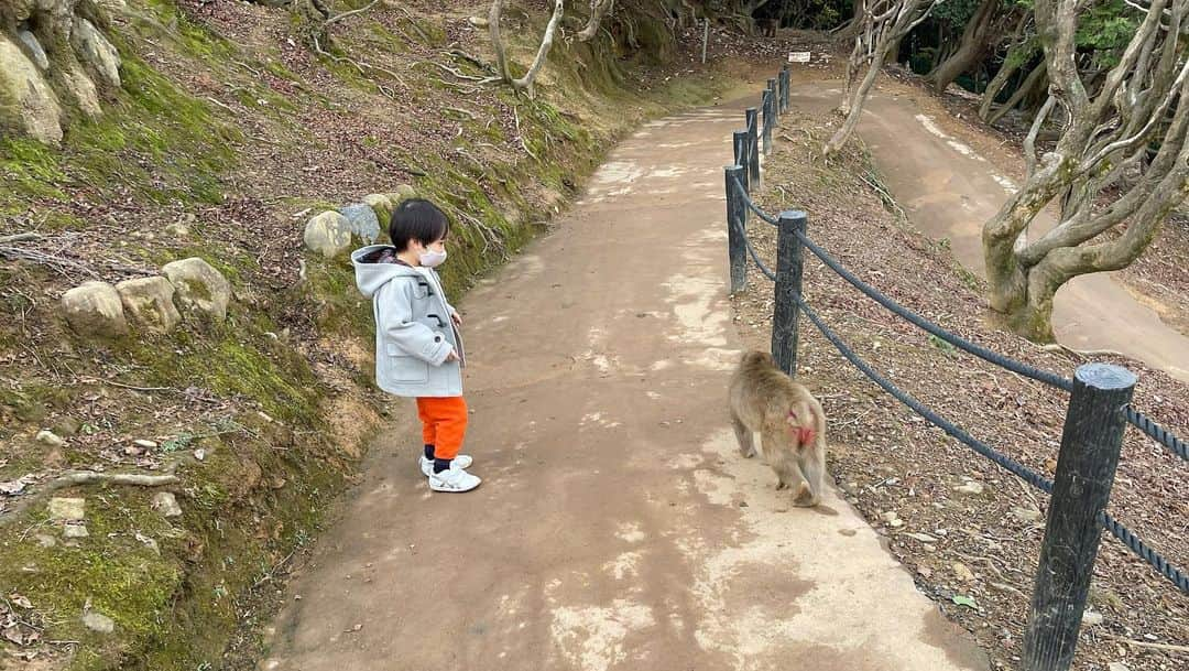 石塚錬さんのインスタグラム写真 - (石塚錬Instagram)「👦💬「小さいお猿さん、いっぱい食べてね🐵🐒❤️」 #1.オトナ猿を警戒しながらコドモ猿さんにエサをあげるレン🐒 #2.わんこそばのように次々とあげるレン🍜 #3-6.少しずつおサルに近づくレン🐒 #映画999 の出演にコメントくれた方ありがとうございました🥳🌟 . 👩💬「Little monkey, eat a lot🐵🐒❤️」 #1.Ren feeding a child monkey while being wary of an adult monkey🐒 #2.Ren feeding one after another🍜➿🔜 #3-6. Ren approaching the monkey little by little🐒〰️ #Thank you to those who commented on the appearance of movie 99.9. 🥳🌟 . #猿 #えさ #餌 #エサ #りんご #落花生 #monkey #feed #apple #nuts #원숭이　#에사 #ลิง #ให้อาหาร #monyet #memberimakan #猴 #喂养 #石塚錬 #成長日記 #ishizukaren #renishizuka #이시즈카렌」1月10日 19時00分 - ishizuka_ren