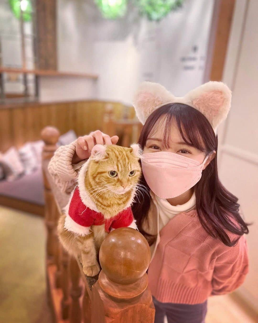 尾崎由香さんのインスタグラム写真 - (尾崎由香Instagram)「幸せな空間🐈💕  #猫カフェ　 #mocha原宿店  #むぎこちゃん  #アメリカンカール #猫　#猫耳 #猫好きな人と繋がりたい #研音youtube」1月10日 21時46分 - ozapure15