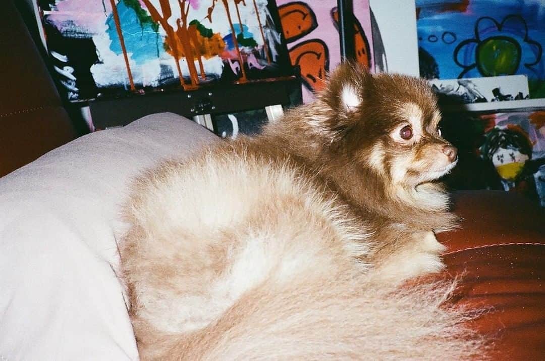 ジョンハさんのインスタグラム写真 - (ジョンハInstagram)「📸🎞」1月13日 17時09分 - 1993kg