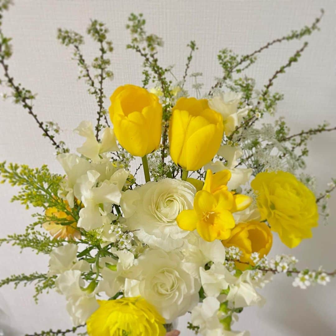 小野澤玲奈さんのインスタグラム写真 - (小野澤玲奈Instagram)「今週はお花に元気をもらった💛  お花屋さんで花束をお願いしたら チューリップ、ラナンキュラス…春のお花が増えてきて 黄色で HAPPY💛  ついでにケーキも黄色🍋 ちいさいっ！かわいい  🌼🍋💛🌼🍋💛🌼🍋💛🌼 💛🌼🍋👱‍♂️🌼🍋💛🌼🍋💛 🍋💛🌼🍋💛🌼🍋👃🌼🍋 🌼🍋💛🌼🍋🐯🌼🍋💛🌼  ↑ やってみたかっただけ  #冬はお花が長持ち  #キャトルエピス  #💛 #黄色 #🐯」1月24日 0時25分 - reina.onozawa