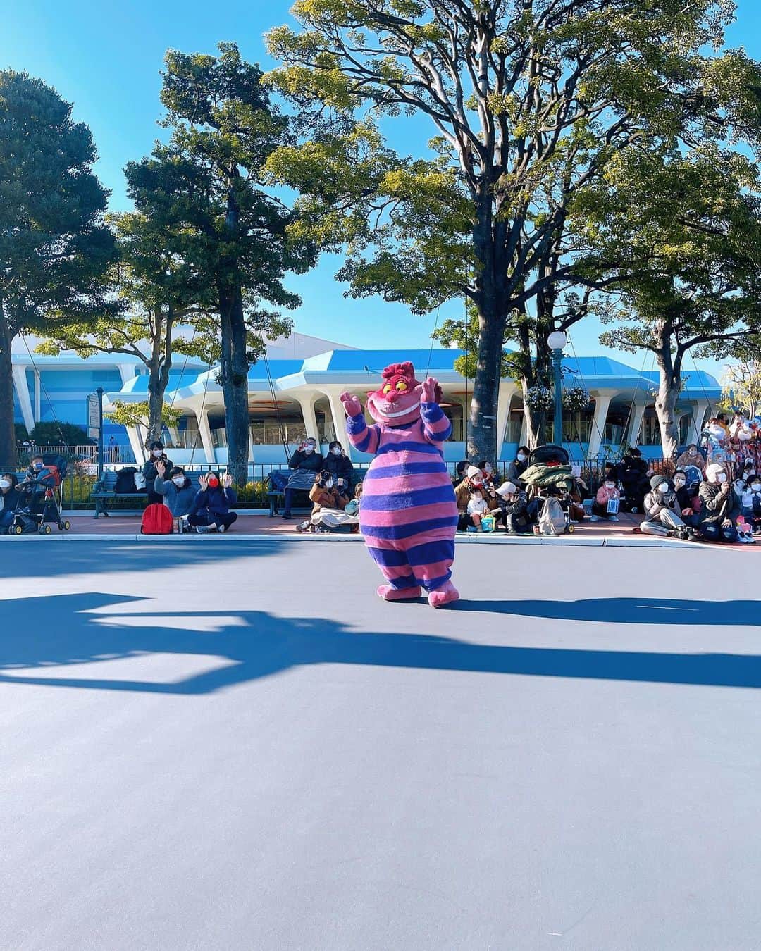 沖田杏梨さんのインスタグラム写真 - (沖田杏梨Instagram)「I went to Tokyo Disneyland and Sea this New Year! Staying in Alice's room at the Disneyland Hotel was one of the most fun! By the way I love Cheshire Cat😻 Restaurant Canna, that I have visited last time and one before, dinners are surprisingly delicious all the time!! so I think the chef's taste is the best.  今年の新年は東京ディズニーランドとシーに行きました!ディズニーランドホテルのアリスの部屋に泊まるのが夢があって最高でした✨ ところで、私はチェシャー猫😻が大好きです💕 レストランカンナ、前回と前に訪れたことがありますが、夕食はいつも驚くほどおいしいです! だからシェフの味覚は最高だと思います❤️  学生時代、そこまでディズニーマニアでは無かったですが、いまは昔より好きです🐭💕  #東京ディズニーランド #ディズニーランドホテル #東京ディズニーシー #disneyland  #tokyodisneyland  #tokyodisneysea」1月30日 22時55分 - anri_okita