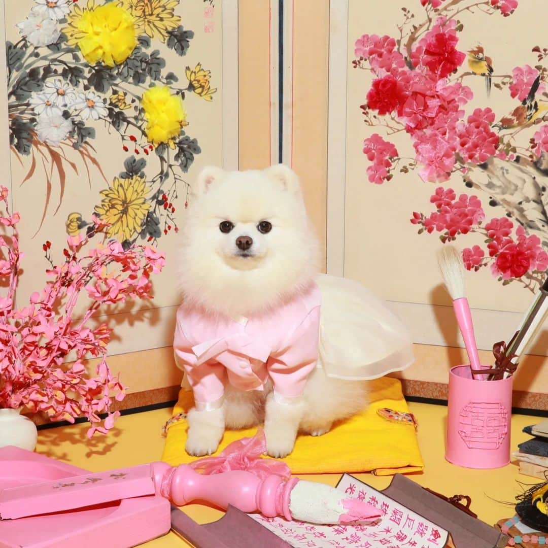 thesoy_yoonsoさんのインスタグラム写真 - (thesoy_yoonsoInstagram)「. 루디씨 세상 근엄ㅋㅋㅋ 훈장님도 이렇게 엄근진 하지는 않을듯😅 . 새해 복 많이 받으세요:) . 이따 9시 시간 괜찮으시면 유튜브 라이브로 만나요🙋🏻‍♂️」2月1日 10時41分 - thesoy_yoonso
