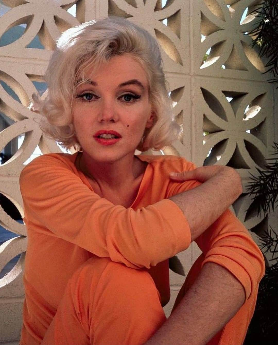 マリリン・モンローさんのインスタグラム写真 - (マリリン・モンローInstagram)「Hope you all have a fabulous Wednesday 🧡」2月3日 6時21分 - welovemarilyn