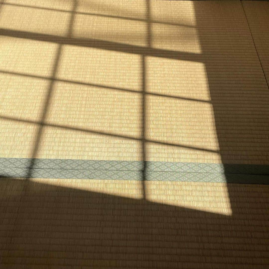 ナナヲアカリさんのインスタグラム写真 - (ナナヲアカリInstagram)「. ☀️」2月3日 12時27分 - 77oakr