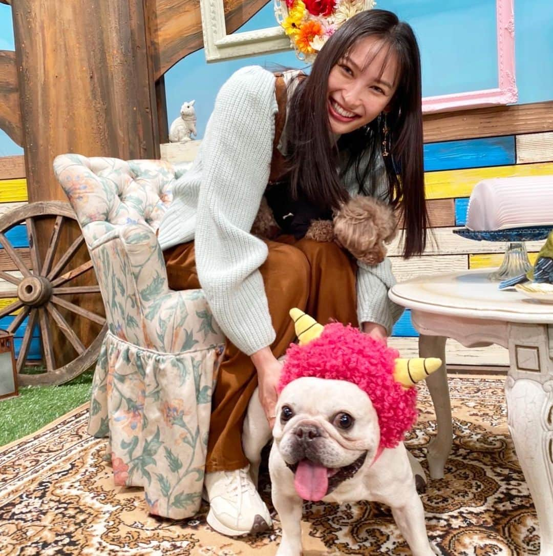 テレビ東京「どうぶつピース‼︎」さんのインスタグラム写真 - (テレビ東京「どうぶつピース‼︎」Instagram)「今日は#節分👹 鬼に扮した#ぴーす君と📸✨  次回2/17(木)18:25〜放送の #どうぶつピース は3.5時間SP‼︎ お楽しみに🐷❤️  #大政絢 ちゃん＆愛犬#なちゅ #テレビ東京」2月3日 17時14分 - doubutsupeace