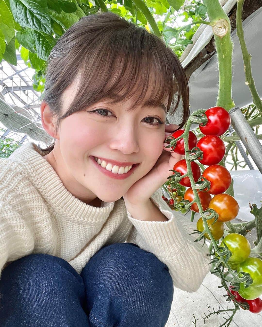 澤井志帆さんのインスタグラム写真 - (澤井志帆Instagram)「.2022.2.11 ⁡ 今週のごちカンは掛川市のミニトマトをご紹介します🍅🤍 ⁡ 栄養たっぷりで美味しいミニトマト。 そのまま食べるのはもちろん、加熱して食べても甘くて栄養の吸収率もアップして良いこと尽くめなんです♩ ⁡ 13日(日)午前11:40〜ごちそうカントリーお楽しみに🌱✨ ⁡ ⁡ ⁡ #DaiichiTV#ごちそうカントリー#ミニトマト#静岡#掛川#掛川市#御前崎#まるよ茶屋#アナウンサー」2月11日 18時14分 - shiho_sawai