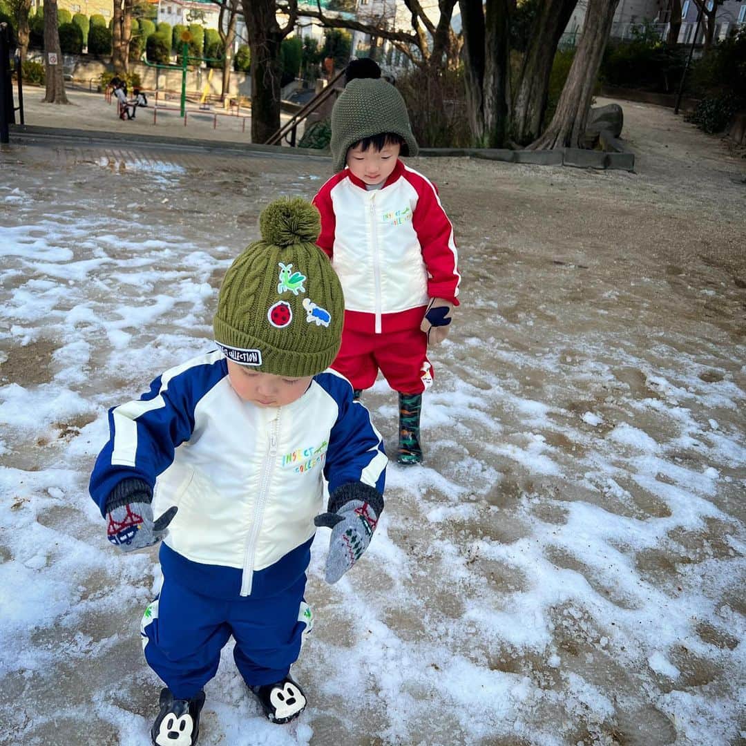 中村獅童さんのインスタグラム写真 - (中村獅童Instagram)「雪遊び  @insect.collection  #夏幹 #陽喜」2月11日 22時56分 - shido_nakamura