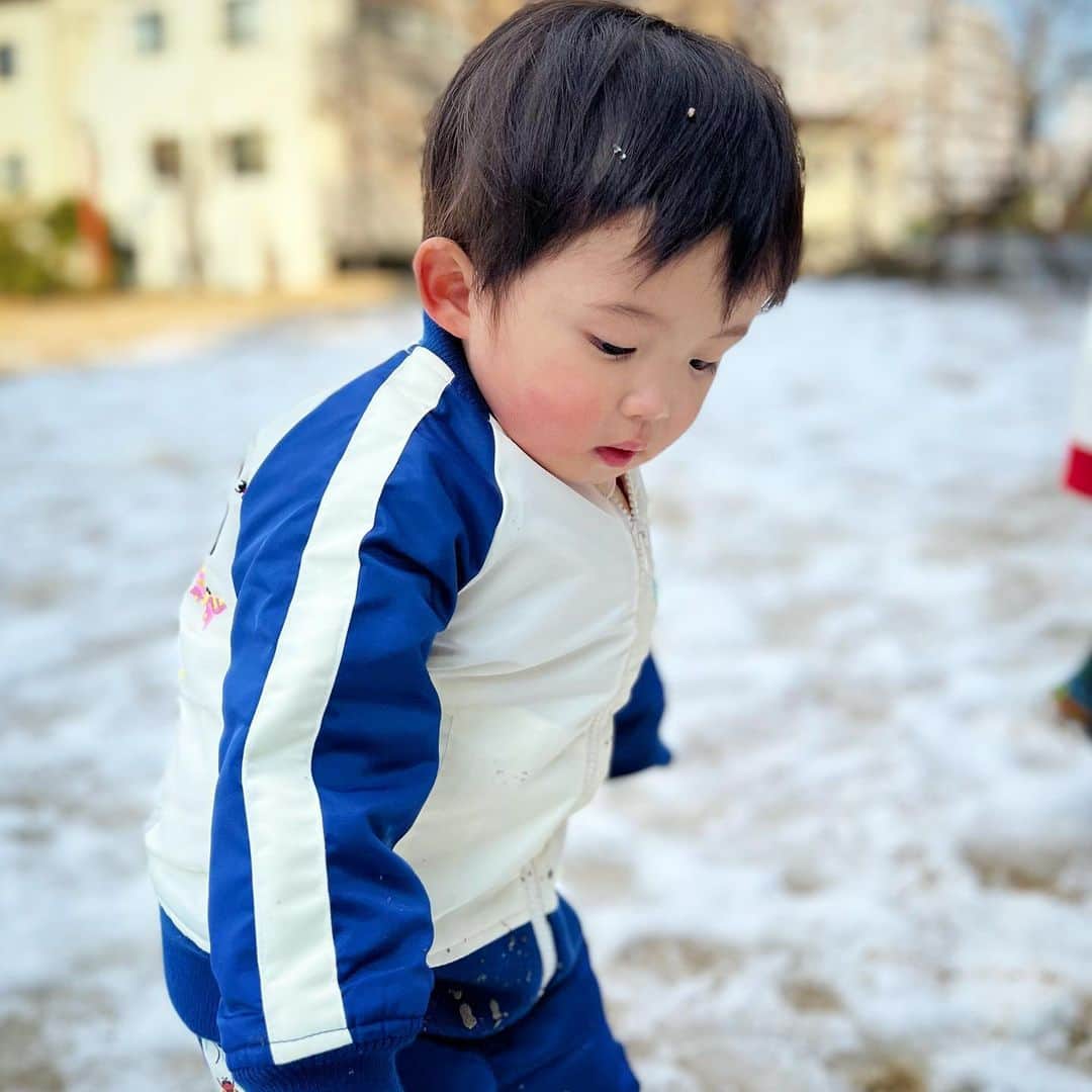 中村獅童さんのインスタグラム写真 - (中村獅童Instagram)「雪遊び  @insect.collection  #夏幹 #陽喜」2月11日 22時56分 - shido_nakamura