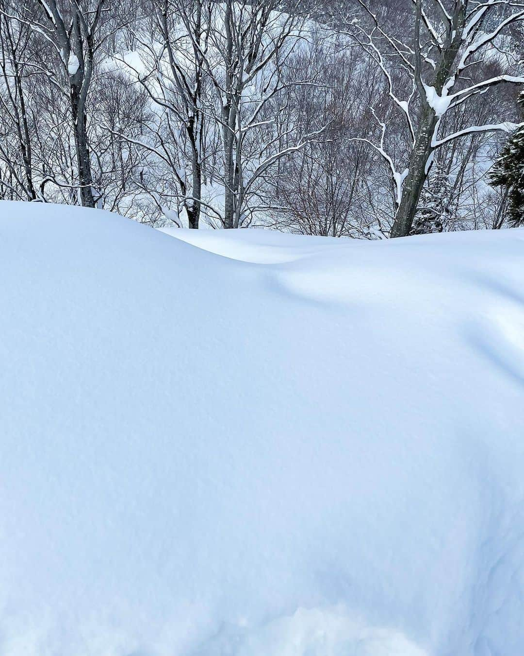 きりまるさんのインスタグラム写真 - (きりまるInstagram)「. 人生初のスノボいった🏂☁️  こんなに雪を見たのも生まれてはじめてで 本当にずっと心がときめいてた、、、 雪国に住むみんなは、いつもこんな素敵な 風景の中過ごしてるのかい？ 素敵すぎる😿🤍  お初の新潟県でした〜！お邪魔しました🍙♡ あまりに素敵なところで空気が綺麗すぎて 肺にたくさん限界まで詰め込んで帰りましたぜ  お米が美味しすぎて、塩むすび もってかえってきた。わぁあぁあ  九州にずっと住んでた身からすると 雪は本当に新鮮すぎて、夢の国にきた みたいな感覚でずーっと眺めてたかった。 素敵なところやった〜☃️ . .」2月14日 20時28分 - kirimaruuu