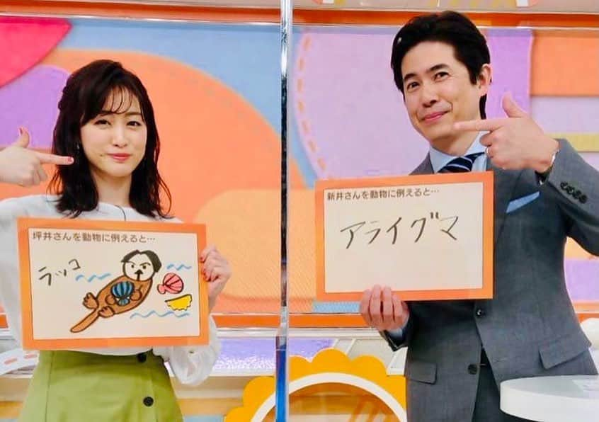 テレビ朝日「グッド！モーニング」さんのインスタグラム写真 - (テレビ朝日「グッド！モーニング」Instagram)「☀️きょうのエンタメワイド☀  今朝のエンタメワイドで、 MC２人がお互いを動物に例えたら？という質問に 出した答えは？  坪井さん･･･そっくりですね😊  #グッドモーニング」2月17日 11時37分 - good_morning_ex