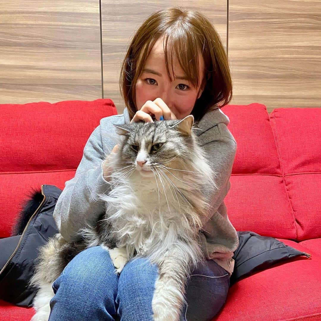 藤田菜七子さんのインスタグラム写真 - (藤田菜七子Instagram)「. 私の大好きなお友達たち🐱💓  皆さんは犬派ですか？ それとも猫はですか？  私はどっちもです🥰  #藤田菜七子 #nanakofujita」2月18日 8時11分 - nanako.fujita_official