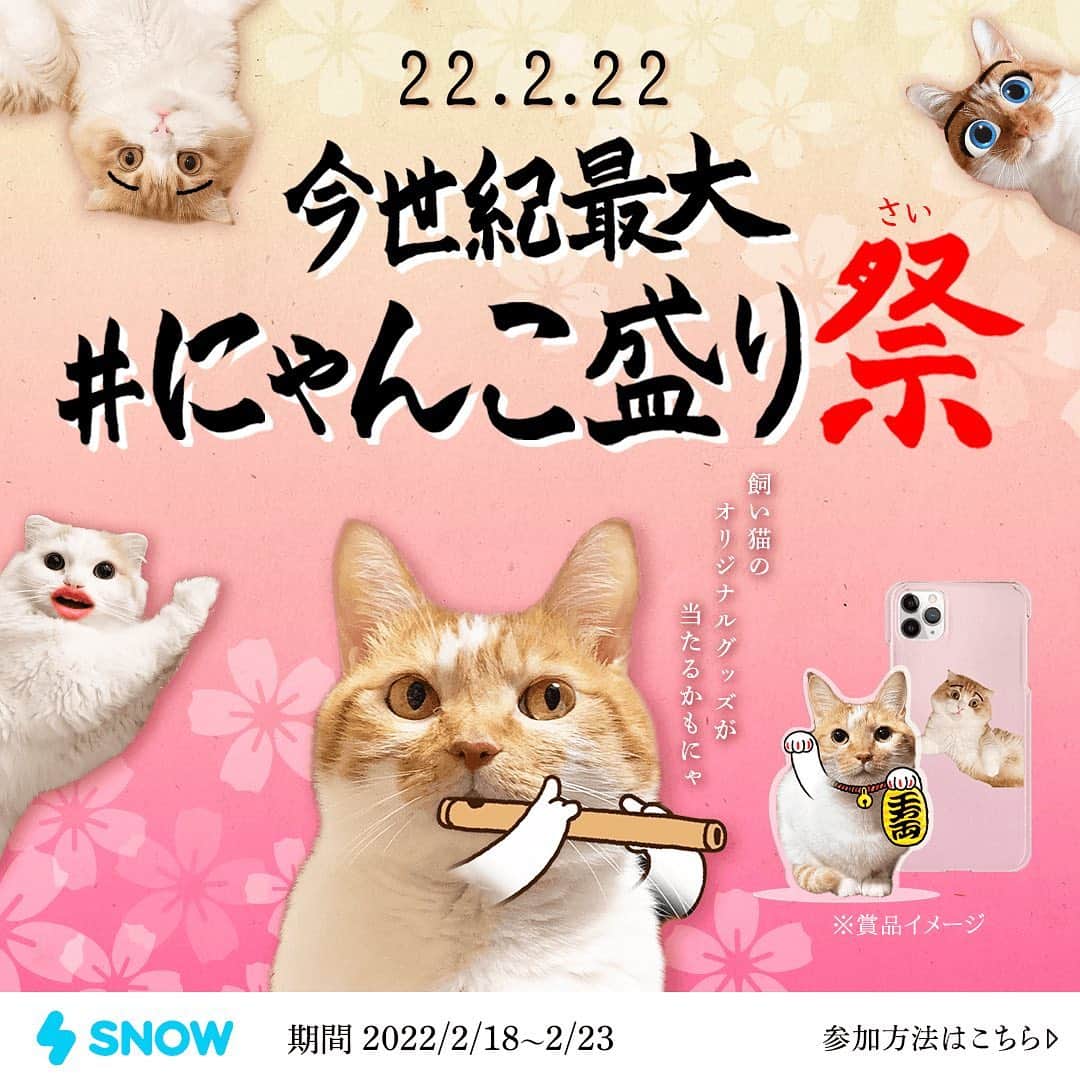 「SNOW」顔認識カメラアプリさんのインスタグラム写真 - (「SNOW」顔認識カメラアプリInstagram)「2022年🐱2月🐱22日🐱 2(にゃん🐾)が並ぶ、今世紀最大の #にゃんこ盛り 祭開催📣 ⁡ お家のねこちゃんのお写真でオリジナルグッズを作成してプレゼント🎁 ⁡参加方法は2枚目の画像をチェック👀 ⁡ 🤫お得情報🤫 投稿時に @snow_japan をタグ付すると当選率アップ（？） ⁡ ■キャンペーン期間 2022年2月18日(金)~2022年2月23日(水) ⁡ ■DMにて当選発表 2022年2月25日(金)　 ※その後発送は3月中旬を予定しております。 ⁡ ■参加条件&注意点 ・期間中にSNOWのねこ用スタンプを使って撮影した写真に #にゃんこ盛り をつけてインスタグラムに投稿 ・公開アカウントに設定すること(鍵アカウントは対象外)  ■賞品について ＜オリジナルスマホケース＞ GALAXYまたはiPhone(X以上の機種)での作成になります。 当選者にはDMにて作成する機種をお選びいただきます。  ＜クリアスタンド＞ 愛猫写真を使用しオリジナルでデザインすることができます🐈💓 作成に必要なお写真詳細は別途ご連絡致します。 ⁡  ⁡  #snowcam #にゃんこ盛り #ねこすたぐらむ #ねこのいる生活 #ねこのきもち #ねこ #ねこの日 #猫の日 #猫のいる暮らし #猫好きさんと繋がりたい #にゃんすたぐらむ #にゃんこ #キャンペーン開催 #キャンペーン開催中 #キャンペーン」2月18日 11時51分 - snow_japan
