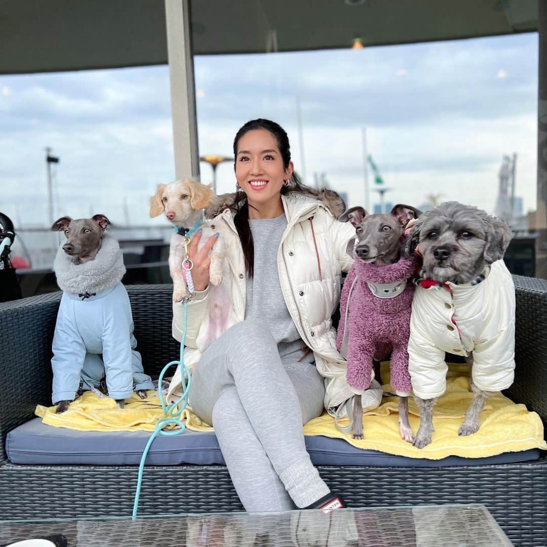 Azusaさんのインスタグラム写真 - (AzusaInstagram)「たくさんのワンコたちに囲まれて最高にしあわせな休日🐶💕 午後から雨予報だったので朝早起きしてドッグランへ連れて行ってたくさん運動してもらったよ🐾🌳 そのあと港を眺めながらランチして最高だね😋 私もロッキーとエルもみんなでリフレッシュ☺️」2月19日 18時13分 - az.dancy