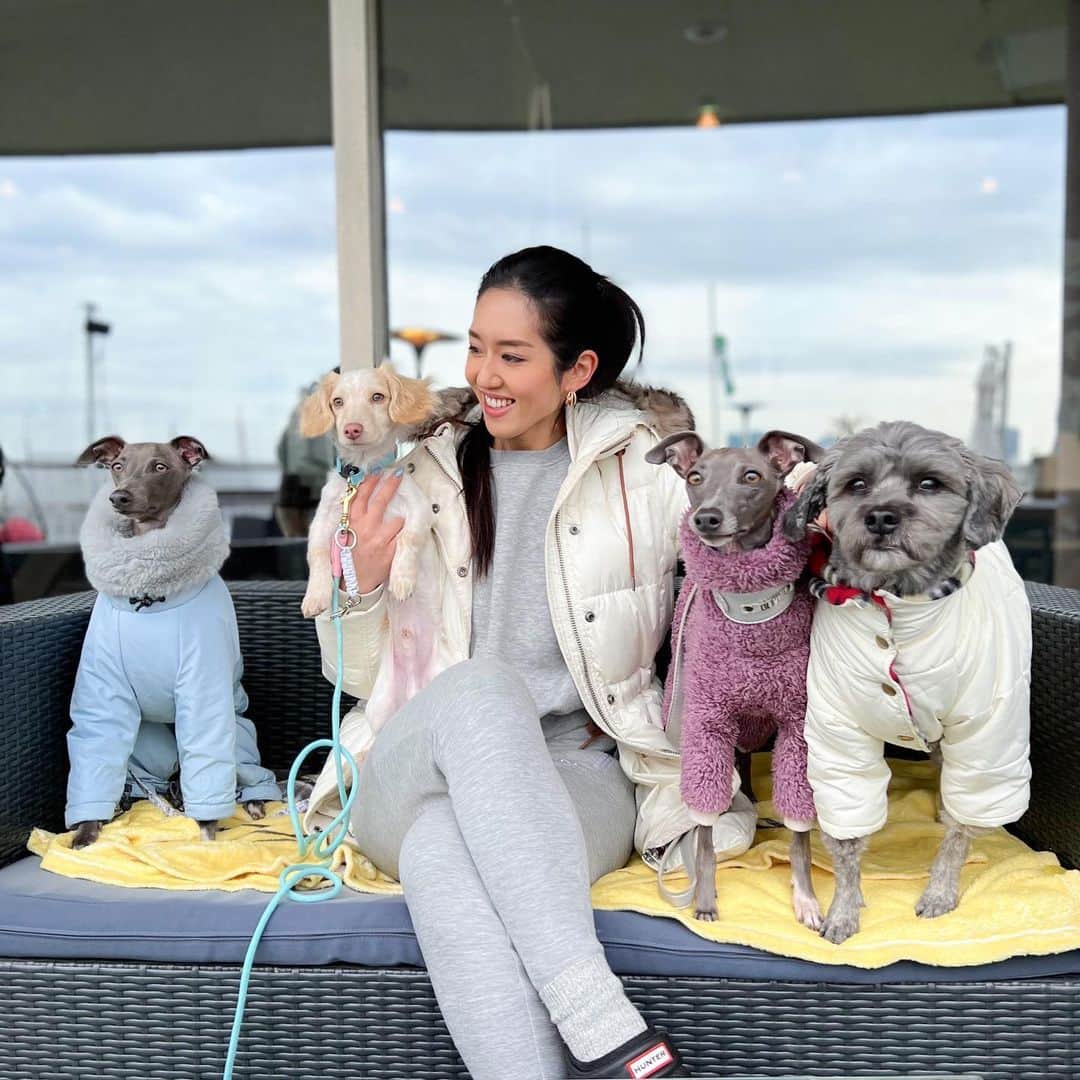 Azusaさんのインスタグラム写真 - (AzusaInstagram)「たくさんのワンコたちに囲まれて最高にしあわせな休日🐶💕 午後から雨予報だったので朝早起きしてドッグランへ連れて行ってたくさん運動してもらったよ🐾🌳 そのあと港を眺めながらランチして最高だね😋 私もロッキーとエルもみんなでリフレッシュ☺️」2月19日 18時13分 - az.dancy