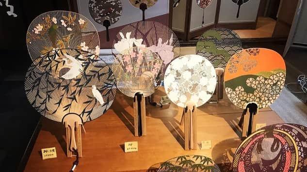平子理沙さんのインスタグラム写真 - (平子理沙Instagram)「京都では、少しだけ買い物もしました🌸　イノダコーヒーの帰り道に、京団扇屋の「阿以波」さんで京うちわを購入しました。 素敵な団扇が沢山ありました✨最後の写真は私が購入したものです。この団扇は、浮世絵の美人画で描かれていた持ち手が長いうちわという事を知って、購入しました。浮世絵の世界に憧れる〜❤️ #京都 #kyoto#travel#lifestyle#fashion#beauty#risahirako #平子理沙」2月20日 22時14分 - risa_hirako